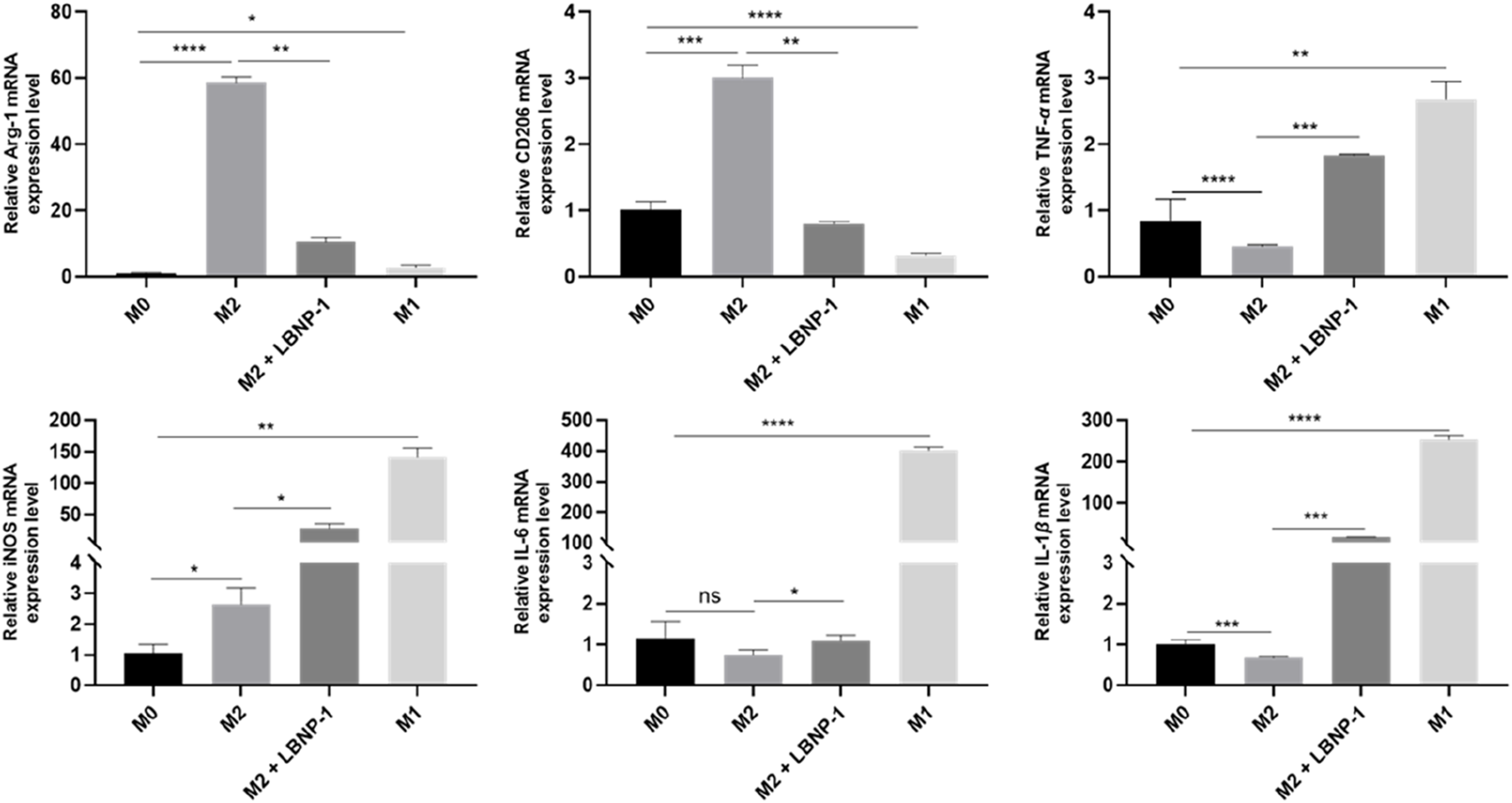 Bar graphs displaying relative mRNA expression levels for Arg-1, CD206, TNF-α, iNOS, IL-6, and IL-1β in four conditions: M0, M2, M2 + LBNP-1, and M1. Significant differences are indicated by asterisks, showing varying expression levels across the conditions.