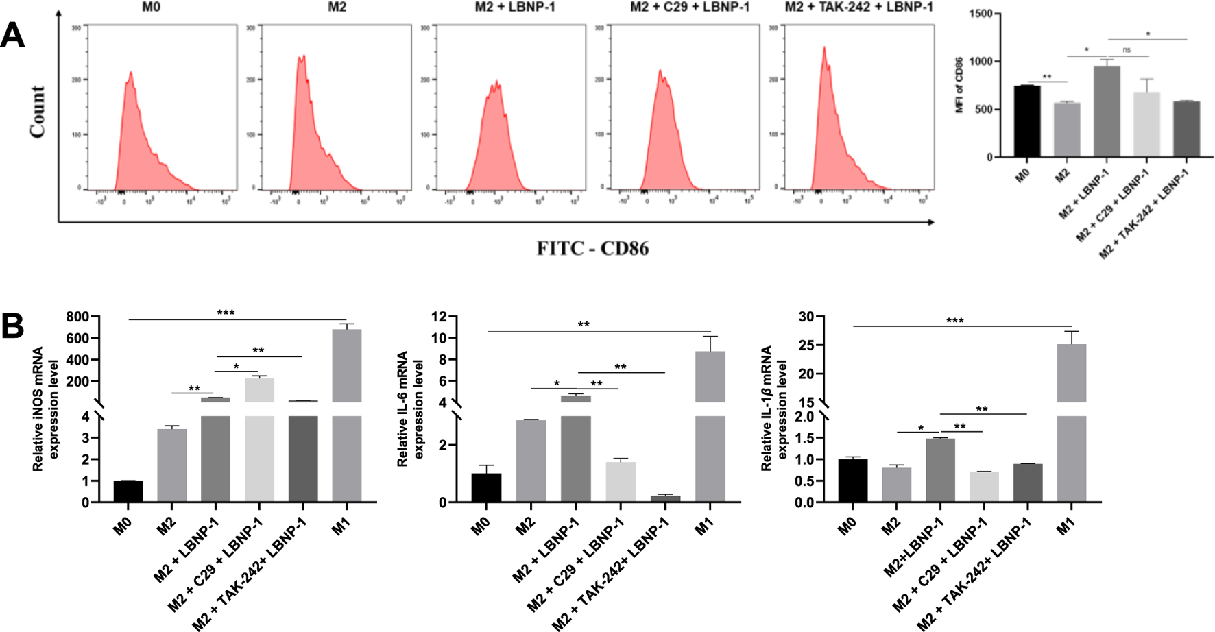 Image displays two panels of graphs labeled A and B. Panel A consists of five flow cytometry histograms showing CD86 expression across different conditions: M0, M2, M2 plus LBNP-1, M2 plus C29 plus LBNP-1, and M2 plus TAK-242 plus LBNP-1, accompanied by a bar chart of mean fluorescent intensity (MFI) of CD86. Panel B includes three bar charts illustrating mRNA expression levels of iNOS, IL-6, and IL-1β across similar conditions with statistical significance marked by asterisks.