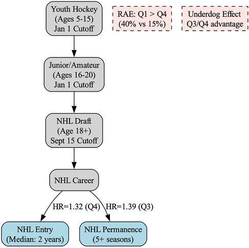 Flowchart depicting the path to an NHL career. Begins with youth hockey ages five to fifteen, then junior/amateur ages sixteen to twenty, leading to NHL draft at age eighteen and older. A relative age effect (RAE) shows Q1 is greater than Q4 (forty percent vs. fifteen percent) with an underdog effect advantage for Q3/Q4. NHL career outcomes are NHL entry with a median of two years (HR=1.32, Q4) and NHL permanence of five or more seasons (HR=1.39, Q3). Cutoff dates are January 1 for youth and junior/amateur, and September 15 for the draft.