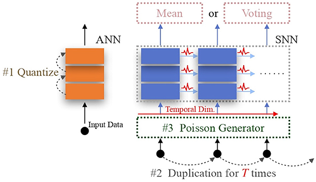Diagram showing the conventional and efficient encoding schemes, including the encoding steps for Artificial Neural Networks (ANNs) and Spiking Neural Networks (SNNs). Steps include quantizing input data, duplicating it multiple times, and using a Poisson generator. Outputs are processed using mean or voting methods. The flow is depicted with arrows and labeled boxes.