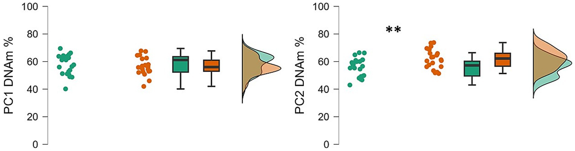 Scatter plots, box plots, and density plots comparing DNA methylation percentages for PC1 and PC2. Green and red dots represent data points. Box plots show data distribution, while density plots illustrate the overlap between groups. Significant difference indicated for PC2 with double asterisks means p <.01.