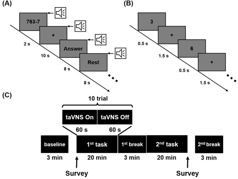 Diagram showing experimental procedures. Panel A illustrates a mental arithmetic task sequence with visual and auditory elements, noting durations for each step: problem presentation (2 seconds), fixation (10 seconds), answer (8 seconds), and rest (8 seconds). Panel B shows a two-back task sequence, with each task sequence displaying numbers for 0.5 seconds and responding for 1.5 seconds. Panel C details the overall experiment timeline, featuring a baseline, two tasks with breaks, and surveys, with task under taVNS on/off conditions lasting 60 seconds each.