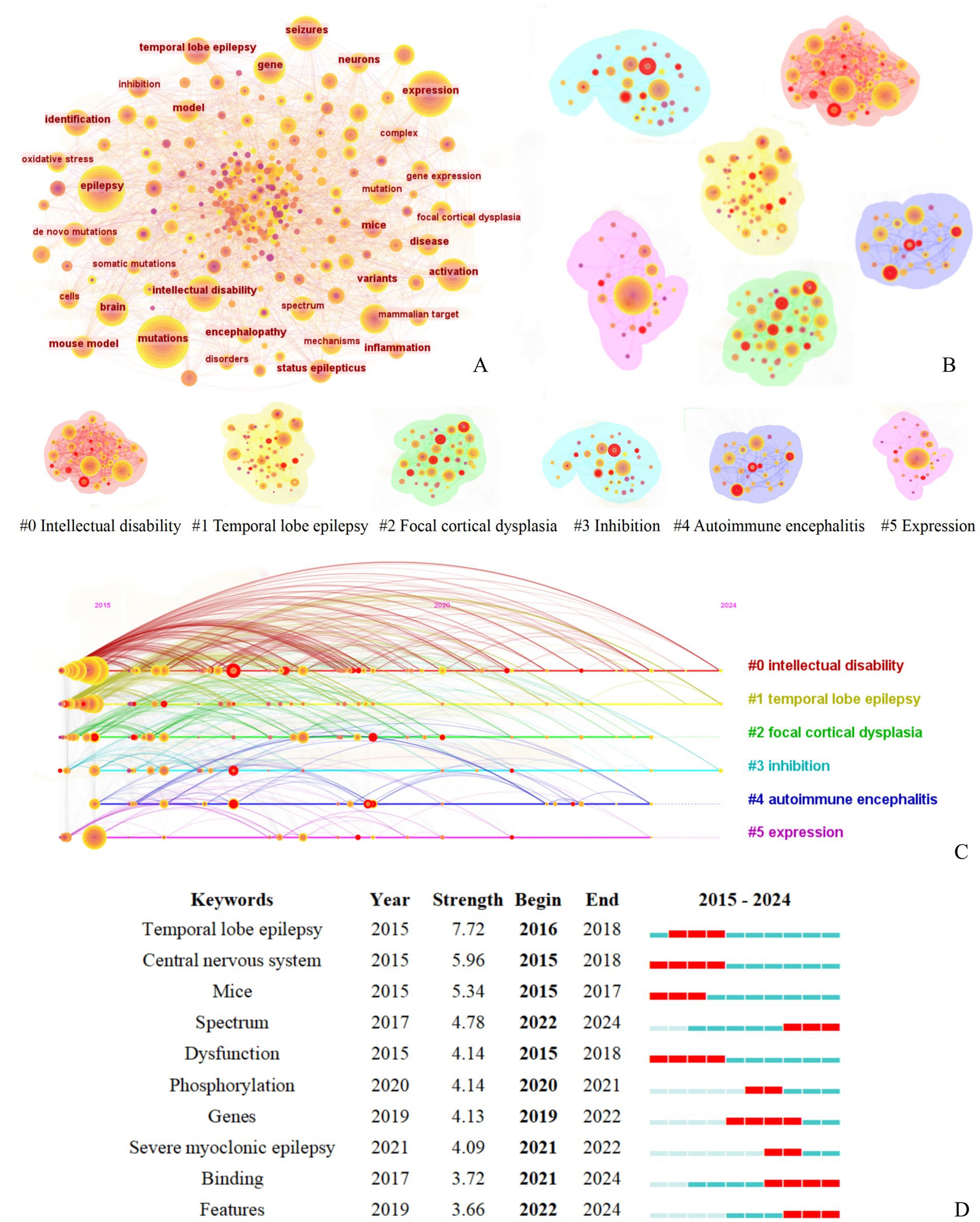 Network visualization depicting keyword relationships across six categories: intellectual disability, temporal lobe epilepsy, focal cortical dysplasia, inhibition, autoimmune encephalitis, and expression. The diagram includes a timeline from 2015 to 2024 showing the emergence and strength of related keywords like "mice," "spectrum," and "dysfunction," with color-coded bars indicating the duration and intensity of these terms.