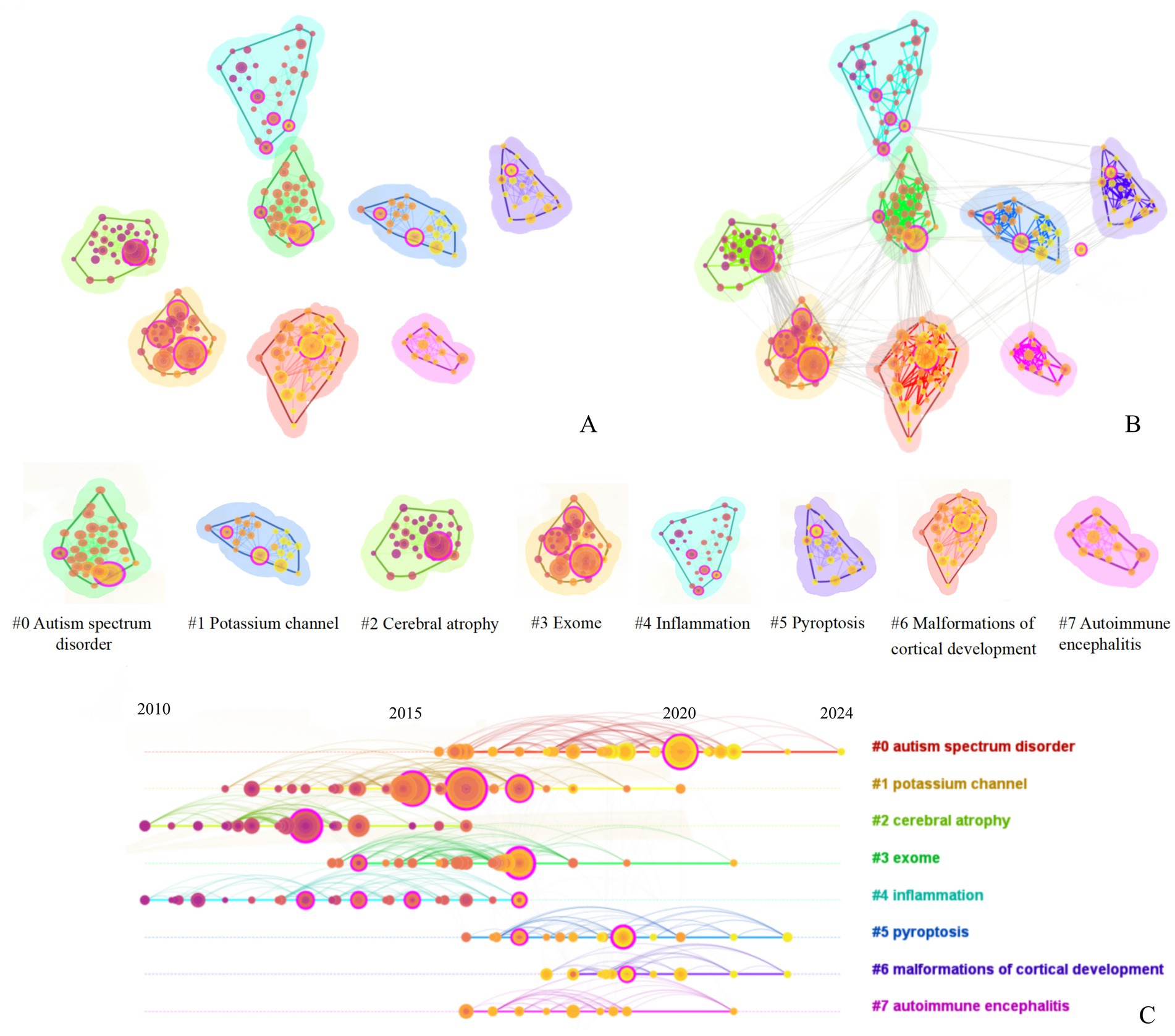Diagram depicting topic clusters and trends. Part A shows isolated clusters labeled #0 to #7, including autism spectrum disorder and pyroptosis. Part B connects clusters with lines, indicating relationships. Part C presents a timeline from 2010 to 2024, showing trends in topic prominence with colored lines and circles. Labels correspond to topics in Parts A and B.