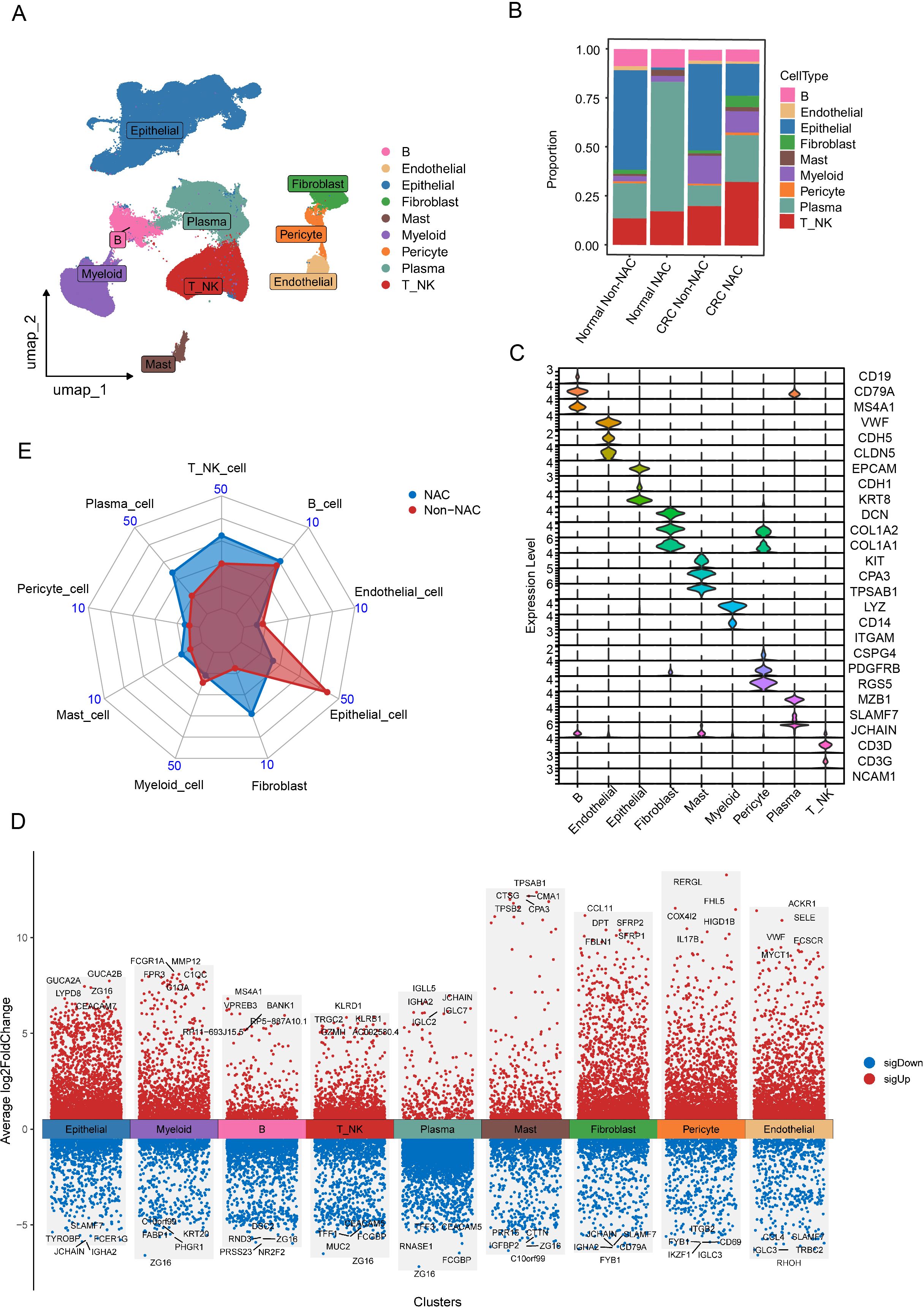 Composite scientific image with five panels: A) UMAP plot showing clustering of cell types including epithelial, fibroblast, and myeloid. B) Stacked bar chart illustrating cell type proportions in different conditions. C) Violin plots displaying expression levels of specific genes across cell types. D) Scatter plots of average fold changes in gene expression across cell clusters. E) Radar chart comparing cell type proportions between NAC and Non-NAC samples.
