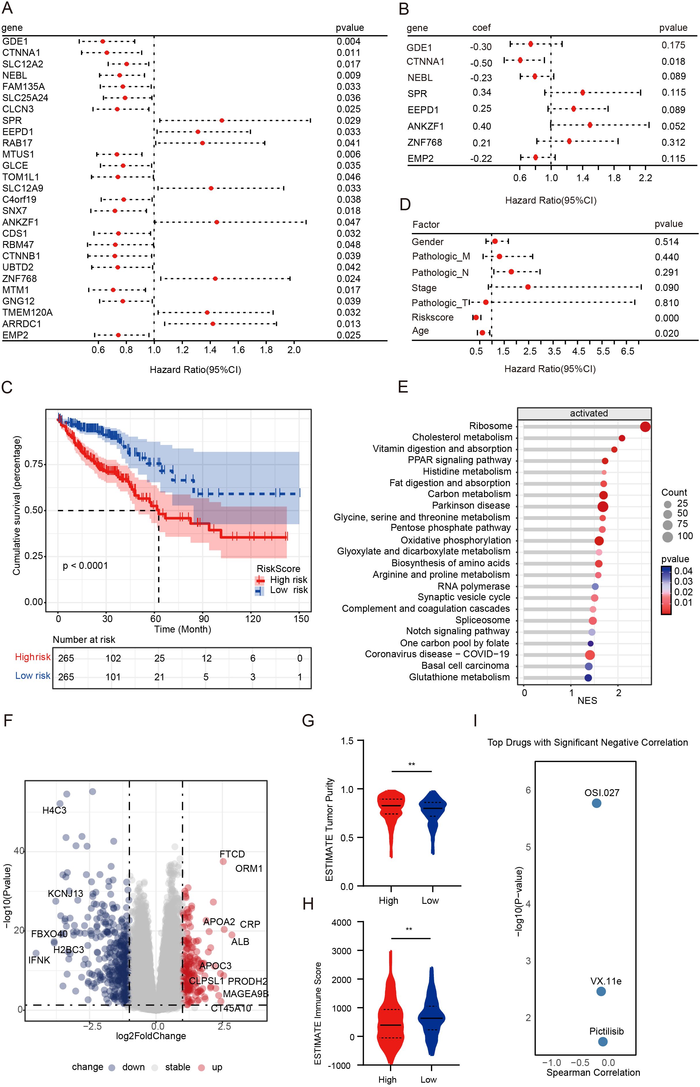 Multiple plots and graphs depicting various data analyses: A) A forest plot showing hazard ratios for genes with corresponding p-values. B) A forest plot illustrating coefficients of genes with p-values. C) A Kaplan-Meier survival plot comparing high and low risk groups over time, with a significant p-value. D) A forest plot for factors affecting hazard ratios with p-values. E) A dot plot for activated pathways with normalized enrichment scores and p-values. F) A volcano plot showing gene expression changes with log fold change and p-values. G) Violin plot comparing ESTIMATE tumor purity between high and low groups. H) Violin plot comparing ESTIMATE immune scores between high and low groups. I) Scatter plot of drugs with significant negative correlation, including correlation values and p-values.