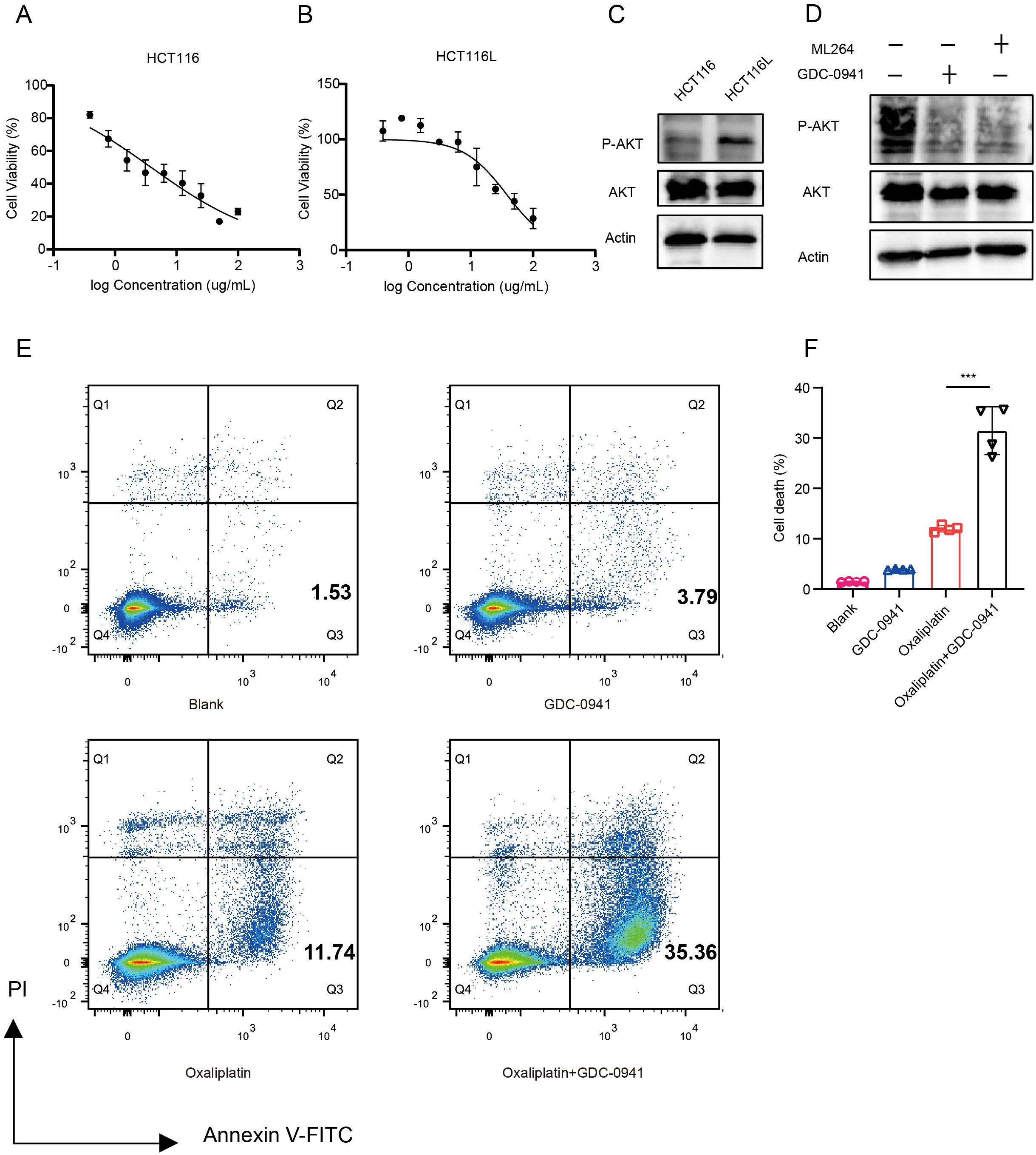 Graphs and images depict cell viability and protein expression in HCT116 and HCT116L cells. (A, B) Dose-response curves show decreased cell viability with increasing drug concentration. (C, D) Western blots display expression of P-AKT, AKT, and Actin under different treatments. (E) Flow cytometry plots illustrate apoptosis with varying treatments, showing percentages in quadrants. (F) Bar graph compares cell death percentages for different treatments, with a significant increase in cell death observed in the Oxaliplatin + GDC-0941 group.