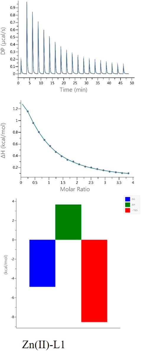 The composite image presents data from zinc(II) complex interactions with a ligand. The top graph shows a series of decreasing calorimetric peaks over a fifty-minute period, indicating heat changes. The middle plot illustrates a decreasing binding enthalpy (ΔH) as the molar ratio increases. The bottom bar chart displays three values: Gibbs free energy change (ΔG) in blue, enthalpy change (ΔH) in green, and the product of temperature and entropy change (−TΔS) in red. The caption reads