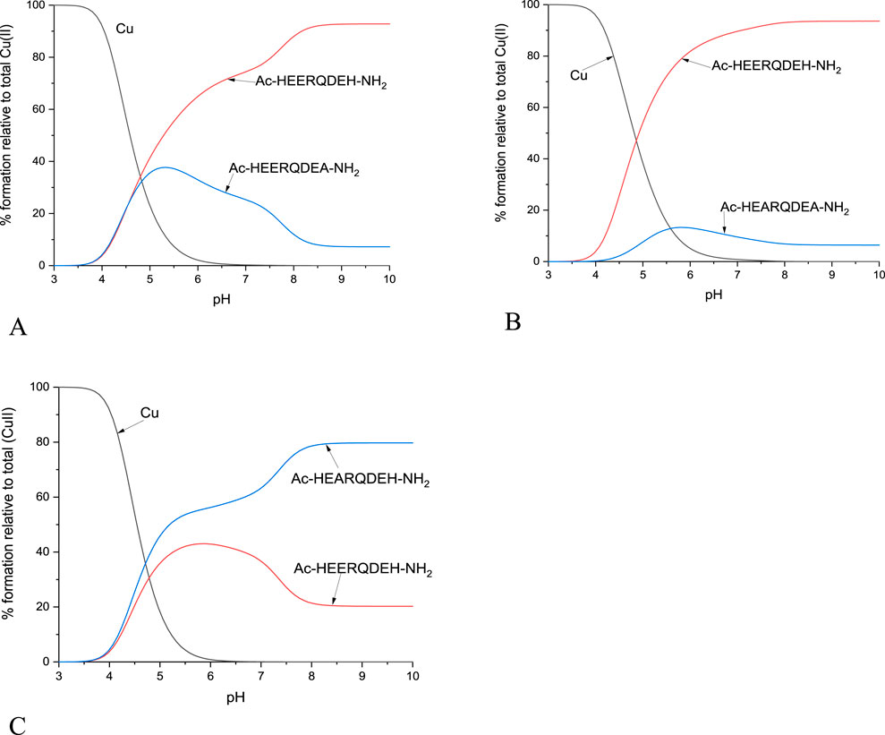Three line graphs labeled A, B, and C illustrate the percentage formation of copper complexes relative to total copper (II) across different pH levels. In graph A, Cu decreases from pH 3 to 10, while Ac-HEERQDEH-NHâ‚‚ increases, and Ac-HEERQDEA-NHâ‚‚ peaks around pH 6. Graph B shows a similar trend, but Ac-HEERQDEH-NHâ‚‚ dominates. Graph C shows Cu decreasing, with Ac-HEARQDEH-NHâ‚‚ having the highest formation and Ac-HEERQDEH-NHâ‚‚ peaking around pH 5.