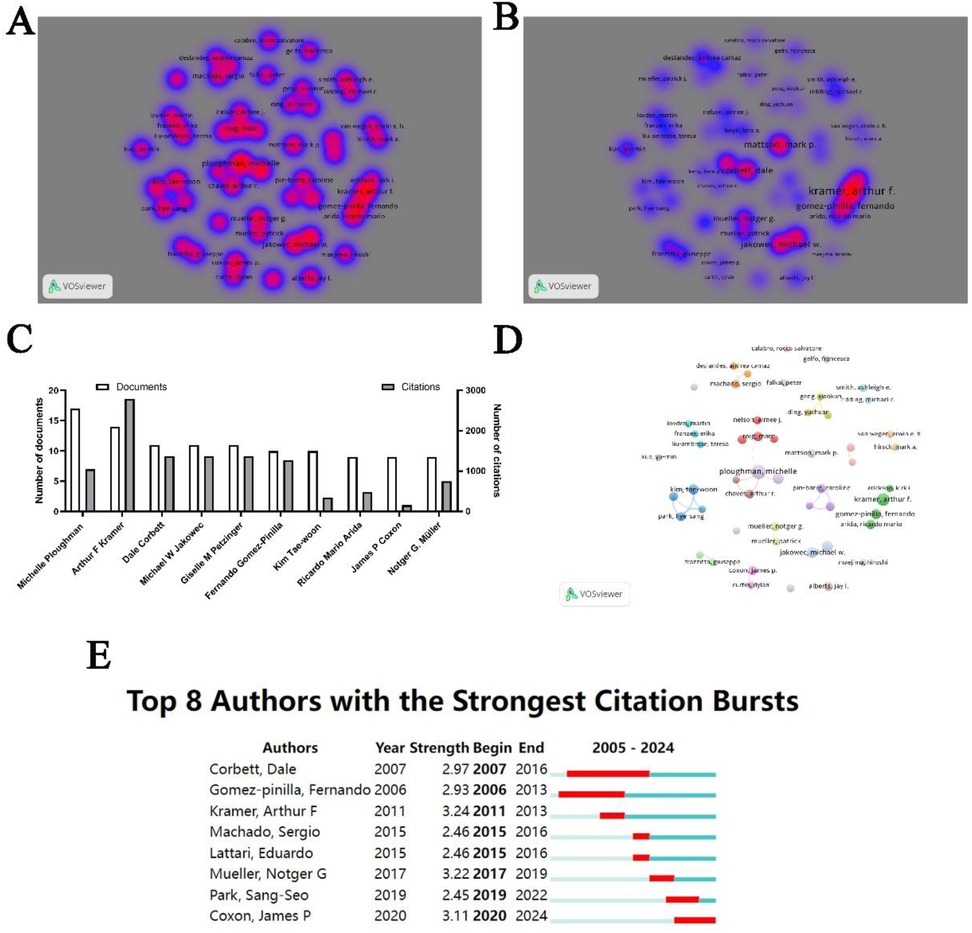 A presents a density visualization of collaborative research using VOSviewer, highlighting clusters with red denoting higher activity. B showcases a similar visualization focusing on prominent individuals. C is a bar graph comparing the number of documents and citations across various authors. D displays a network visualization of co-authorship with diverse clusters. E lists the top eight authors with the most significant citation bursts, including details like year strength and duration from 2005 to 2024.