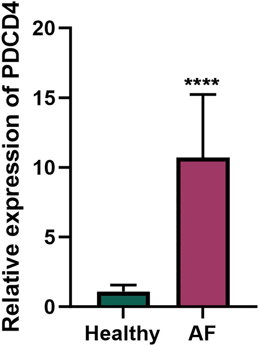 Bar graph comparing the relative expression of PDCD4. The expression in the “Healthy” group is low, around 1, while the “AF” group shows a significantly higher expression, around 11. The AF group bar is marked with asterisks, indicating statistical significance.