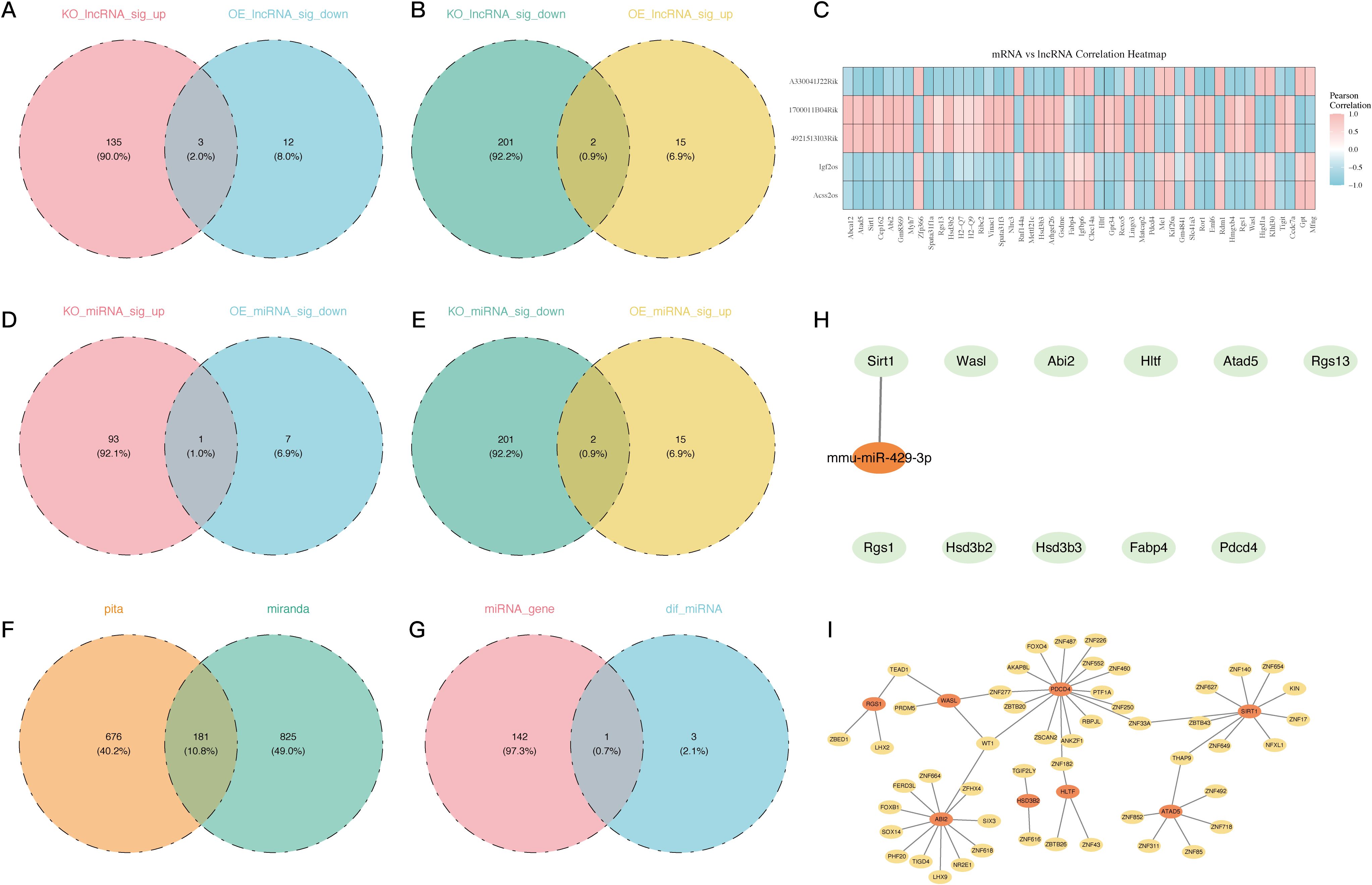 Venn diagrams compare various gene expressions: A shows KO_lncRNA_sig_up vs. OE_lncRNA_sig_down, B shows KO_lncRNA_sig_down vs. OE_lncRNA_sig_up, D shows KO_miRNA_sig_up vs. OE_miRNA_sig_down, E shows KO_miRNA_sig_down vs. OE_miRNA_sig_up, F shows pita vs. miranda, and G shows miRNA_gene vs. dif_miRNA. C is a heatmap of mRNA vs. lncRNA correlation. H is a network visualization involving mmu-miR-429-3p. I is a complex gene interaction network with labeled nodes and connections.