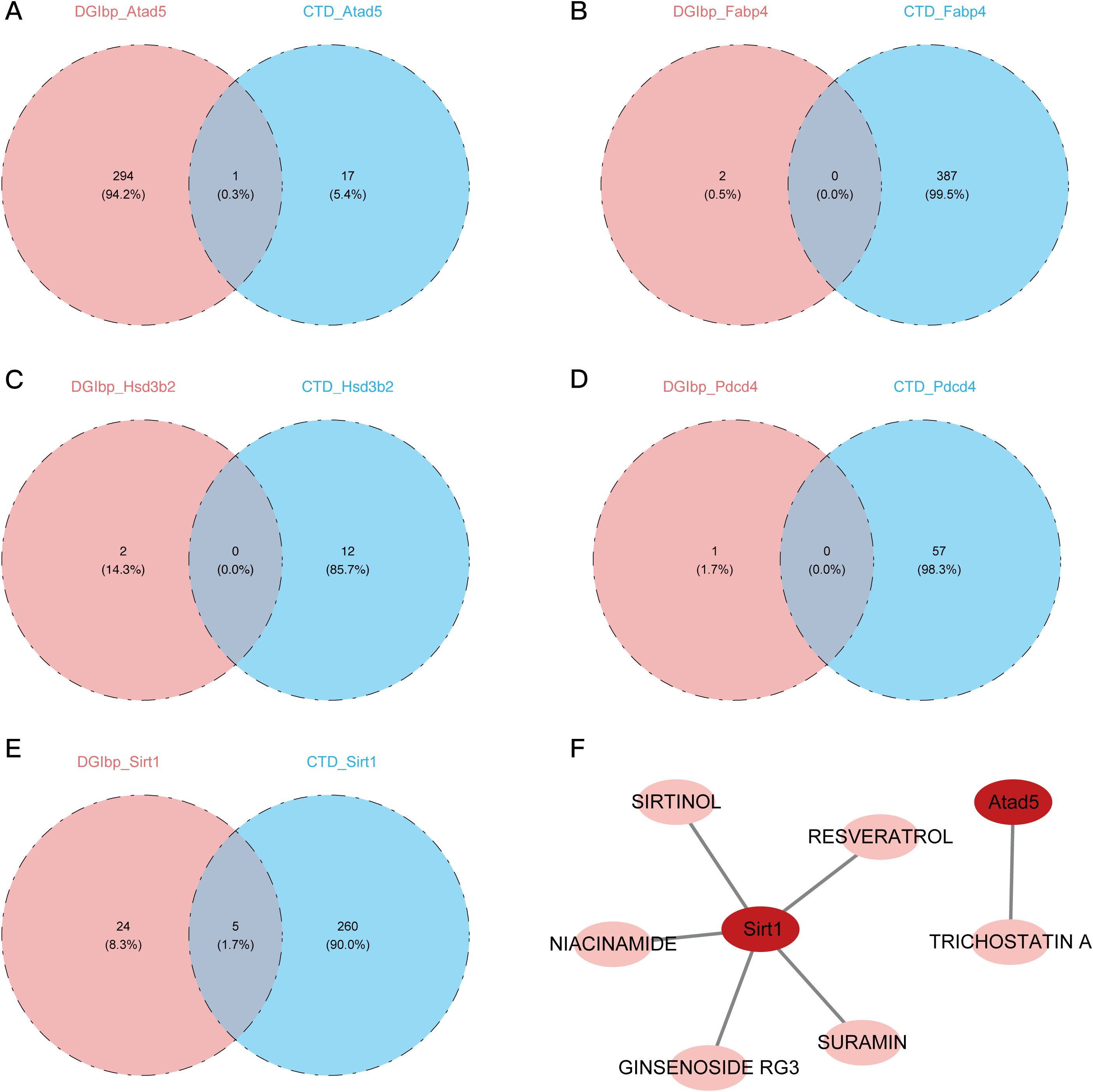 Five Venn diagrams illustrate the overlap of gene expression data sets labeled DGIbp and CTD. Diagrams A through E compare Atad5, Fabp4, Hsd3b2, Pdcd4, and Sirt1, respectively, with their overlaps highlighted. Diagram A shows a significant overlap in Atad5, whereas diagram B shows minimal overlap in Fabp4. Diagram C displays no overlap in Hsd3b2. Diagram D shows a similar pattern with minimal overlap in Pdcd4. Diagram E indicates overlap in Sirt1. Diagram F is a network diagram linking Sirt1 with various compounds and genes, including Atad5, Sirtinol, Resveratrol, and others.