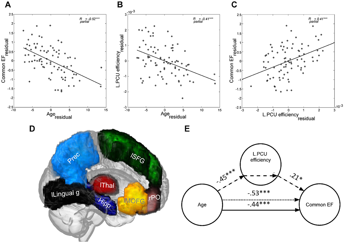 Scatter plots and diagrams illustrate relationships among age, L. PCU efficiency, and common EF residuals. Panel A shows a negative correlation between age and common EF (R_partial = -0.52). Panel B depicts a negative correlation between age and L. PCU efficiency (R_partial = -0.41). Panel C indicates a positive correlation between L. PCU efficiency and common EF (R_partial = 0.41). Panel D is a brain map showing various labeled regions. Panel E is a path diagram illustrating direct and indirect relations among age, L. PCU efficiency, and common EF with statistical significance marked by asterisks.