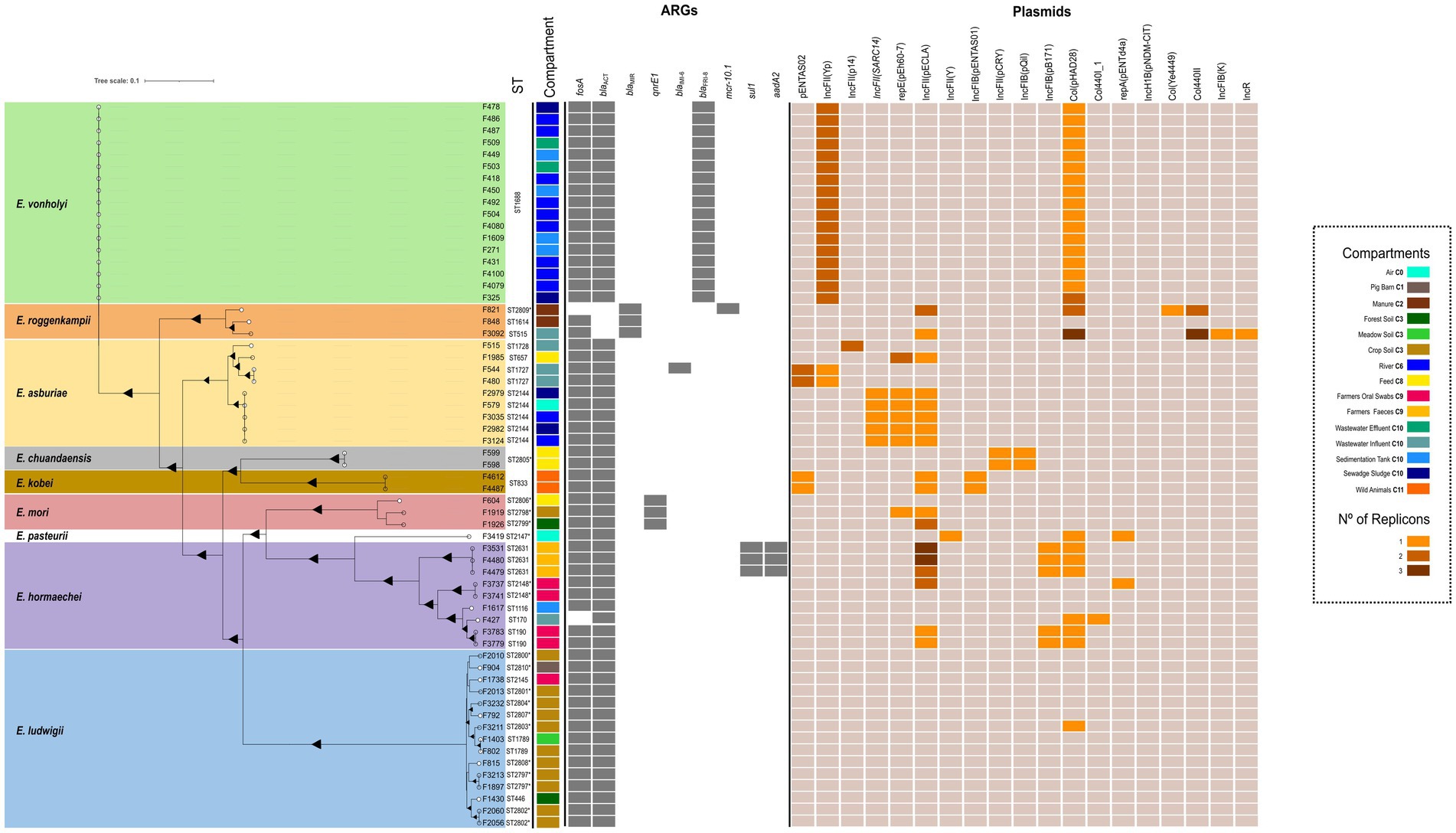 Phylogenetic tree of various *Enterobacter* species showing the distribution of antimicrobial resistance genes (ARGs) and plasmids. On the left, species are color-coded with a legend indicating various environmental compartments. To the right, a matrix displays ARGs and plasmids presence with shaded squares, where the intensity represents the number of replicons.