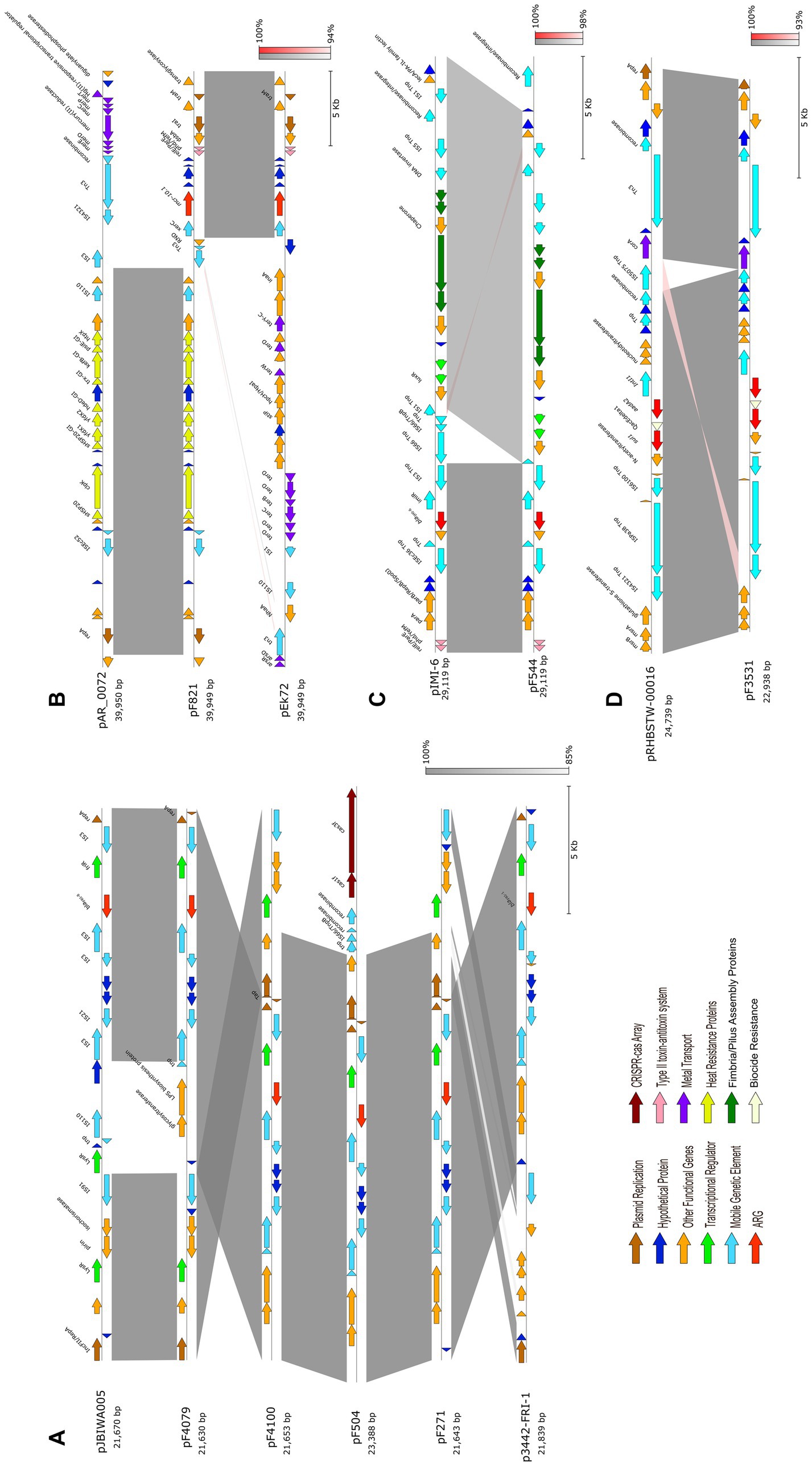 Genomic alignment map of multiple plasmids showing gene clusters and features. The alignment highlights shared regions with grey shading. Color-coded arrows represent functions like ARGs, plasmid replication, hypothetical proteins, and metal transport. A legend on the bottom left provides color reference, and genomic size is indicated in kilobase pairs.