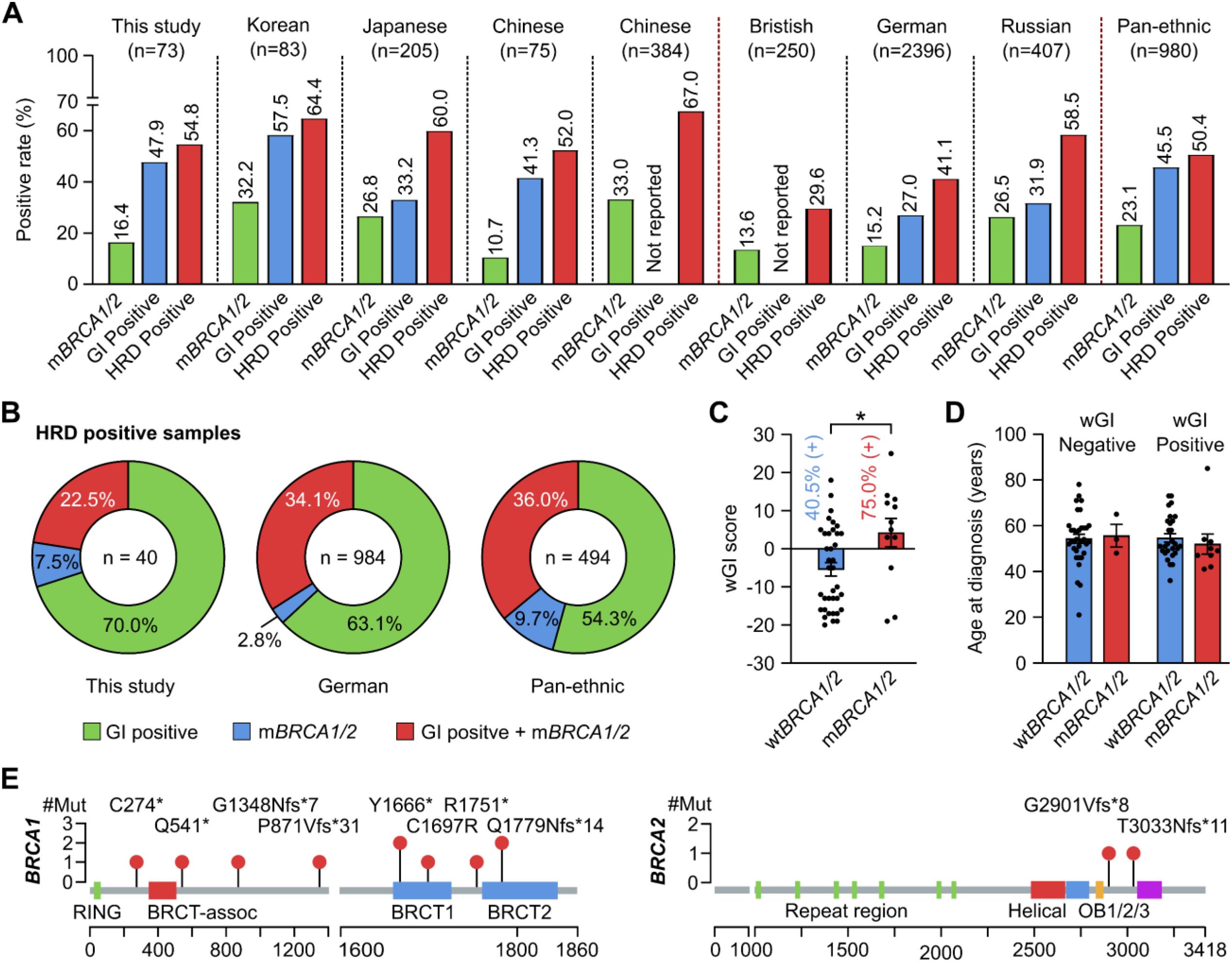 Chart with five panels showcasing genetic study results. Panel A: Bar graphs comparing positive rates of mBRCA1/2, GI, and HRD across different ethnic groups. Panel B: Pie charts showing HRD positive sample distributions among study groups. Panel C: Box plot of wGI scores for wtBRCA1/2 and mBRCA1/2. Panel D: Bar graph of age at diagnosis for wGI negative and positive samples. Panel E: Diagram of BRCA1 and BRCA2 mutations marked on protein domains.