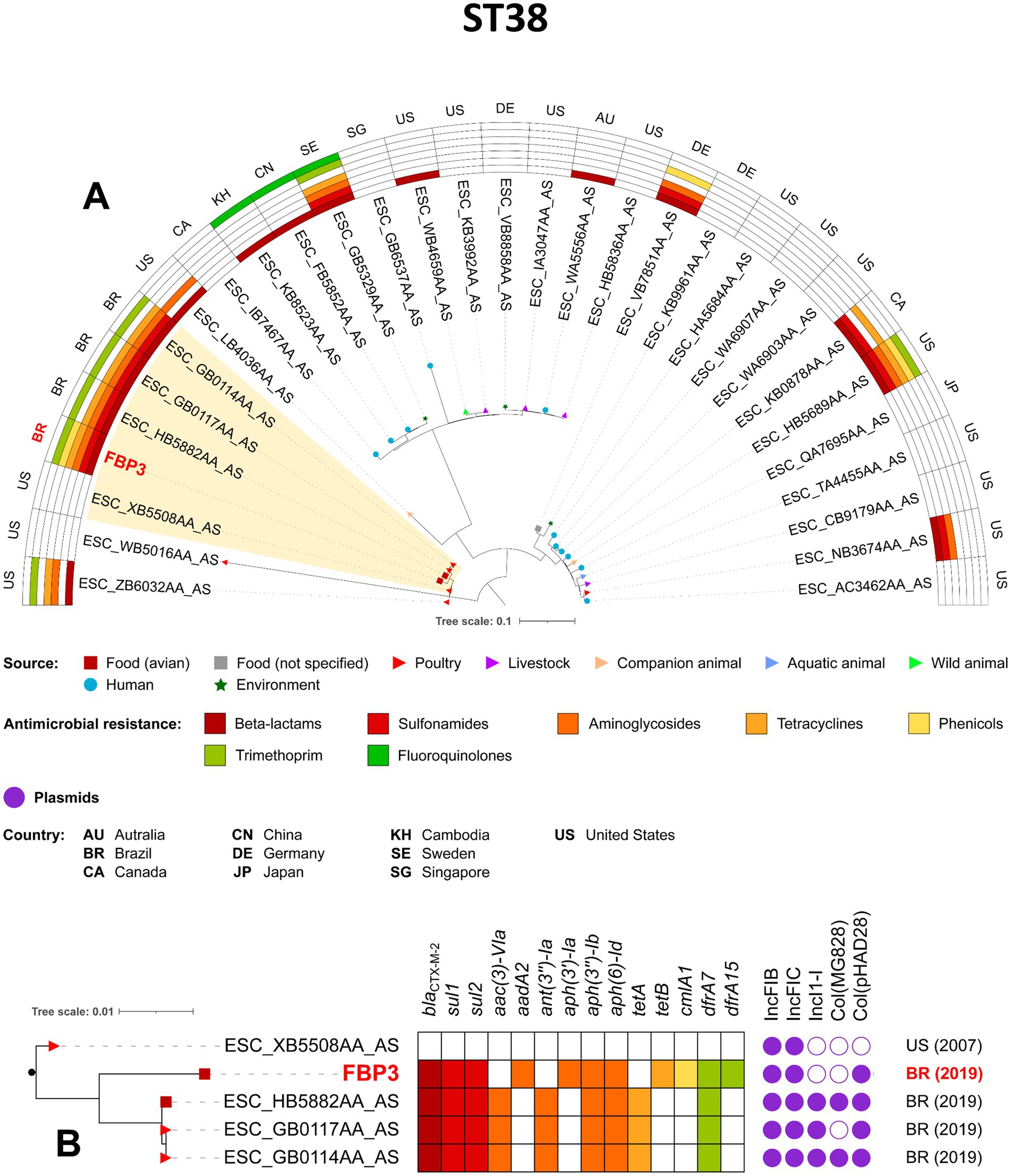 Phylogenetic tree and heatmap visualizing data from ST38 E. coli samples. The phylogenetic tree shows the samples' relationships and origins, marked by country codes and color-coded based on source type and antimicrobial resistance. A legend indicates colors representing different sources, resistance types, and countries. The heatmap displays resistances and plasmid presence for ST38 strains, with colors indicating resistance genes. Sample FBP3 is highlighted. Data from US and Brazil is specified by year.