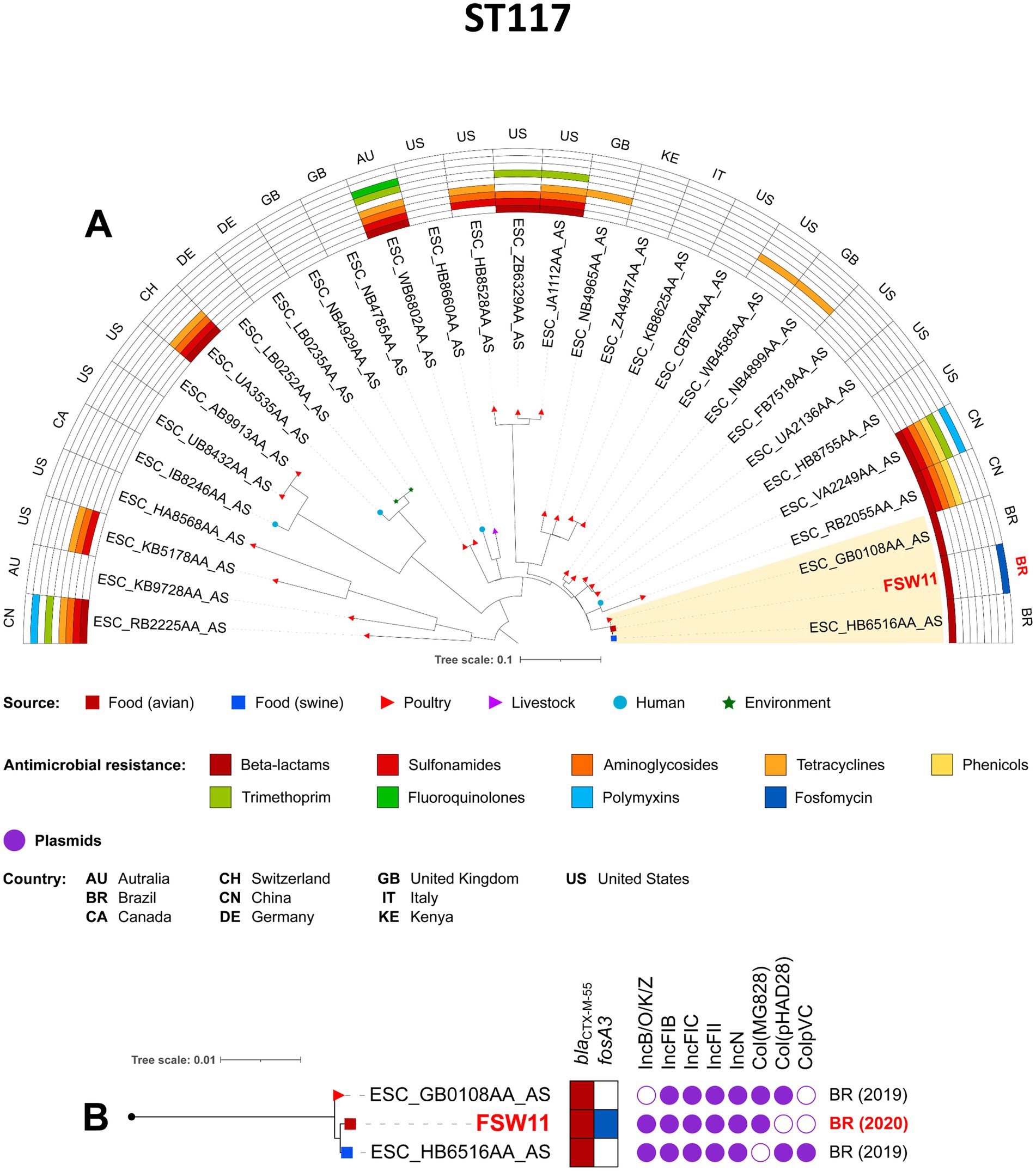 Phylogenetic tree diagram of ST117 showing relationships among samples from various countries. Samples are categorized by source: food, poultry, livestock, human, and environment. Antimicrobial resistance types are indicated by colors for beta-lactams, sulfonamides, tetracyclines, and others. Plasmids are marked in purple. Countries are abbreviated, such as AU for Australia and US for the United States. Panel B shows a detailed view of specific samples with bla\(_{CMY-45}\) gene and plasmid profiles over different years. A legend explains symbols and colors.