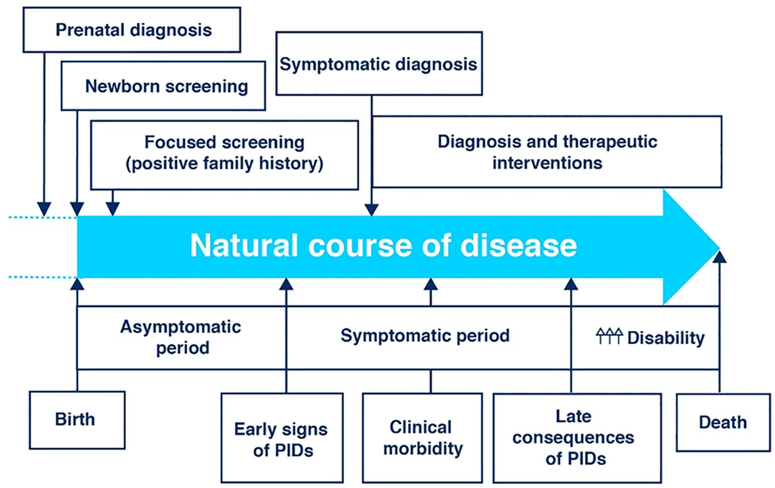 Flowchart illustrating the natural course of disease, beginning with birth and progressing through asymptomatic and symptomatic periods. Stages include early signs of PIDs, clinical morbidity, late consequences, disability, and death. Screening and diagnosis methods like prenatal diagnosis, newborn screening, symptomatic diagnosis, and focused screening are shown as interventions.