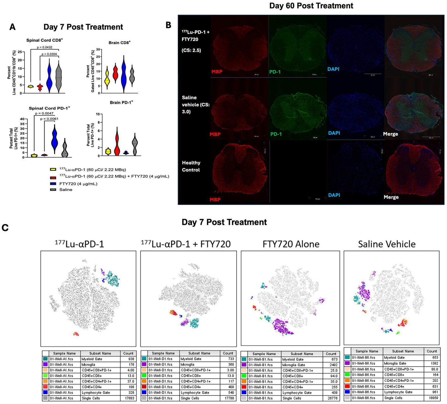 Panel A shows violin plots indicating levels of CD8+ and PD-1+ cells in spinal cord and brain tissue, with color-coded treatments and significant p-values. Panel B features fluorescence microscopy images at Day 60 post-treatment, showing MBP, PD-1, and DAPI staining in different treatment groups, including a healthy control. Panel C displays t-SNE plots of single-cell data post-treatment, with color-coded clusters and accompanying tables detailing sample subsets and counts for various treatment groups.
