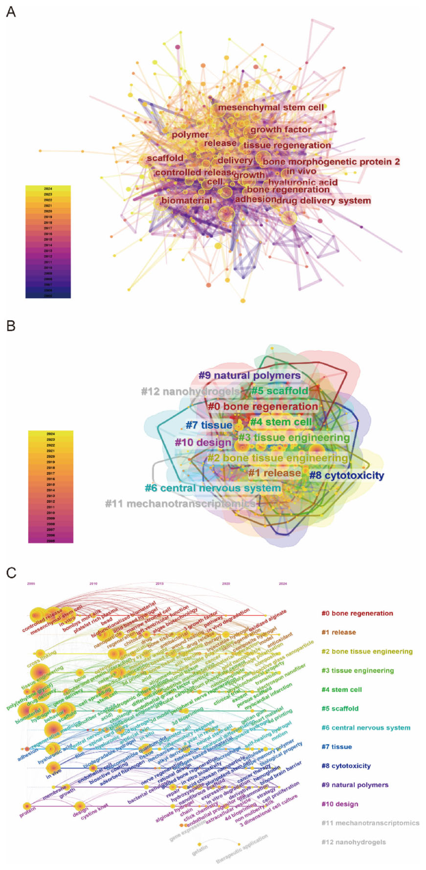 A network visualization shows interconnected nodes representing academic references, with clusters in different colors indicating topical groupings. A chart below lists the top 25 references with the strongest citation bursts, displaying details like year, strength, duration, and a timeline bar from 2005 to 2024, highlighting periods of intense citation activity.