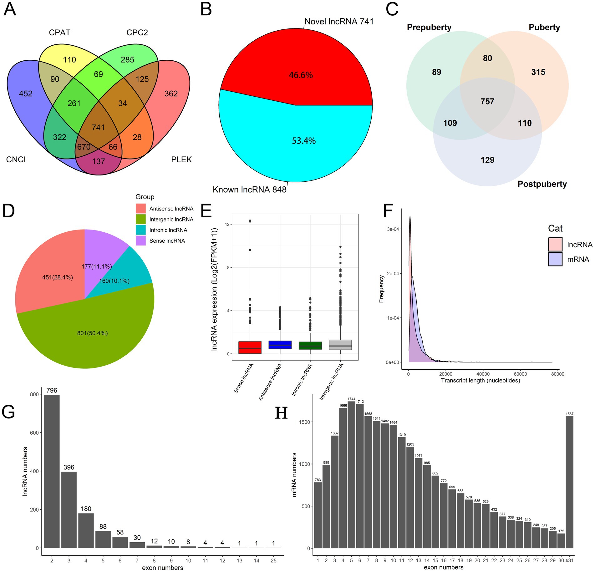 Diagram showing several data visualizations related to lncRNA and mRNA analysis. A: Venn diagram comparing results of four computational tools (CPAT, CNCI, CPC2, PLEK), highlighting overlap and unique findings.B: Pie chart showing 46.6% novel lncRNA and 53.4% known lncRNA.C: Venn diagram of lncRNA expressions during prepuberty, puberty, and postpuberty stages.D: Pie chart showing distribution of lncRNA categories: antisense, intergenic, intronic, and sense.E: Boxplot comparing lncRNA expression levels across the four categories.F: Frequency distribution graph comparing transcript lengths of lncRNA and mRNA.G and H: Bar charts depicting exon number distributions for lncRNA and mRNA, respectively.