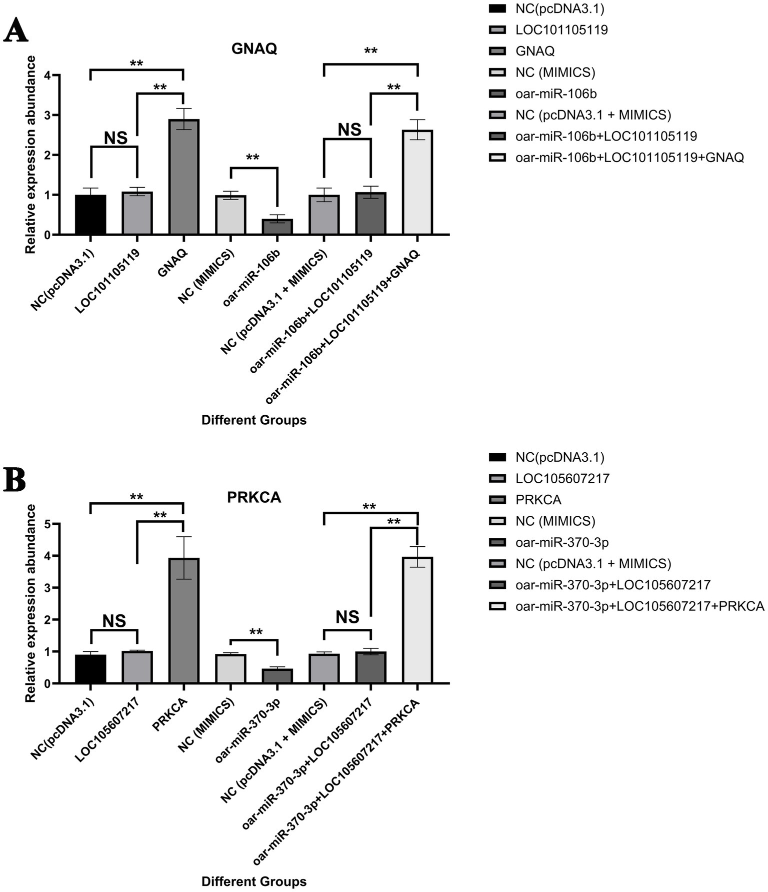 Bar charts labeled A and B show the relative expression abundance of genes GNAQ and PRKCA across different groups, respectively. Each chart includes black, gray, and white bars representing various experimental conditions. Significant differences are marked with asterisks, and non-significant differences are labeled