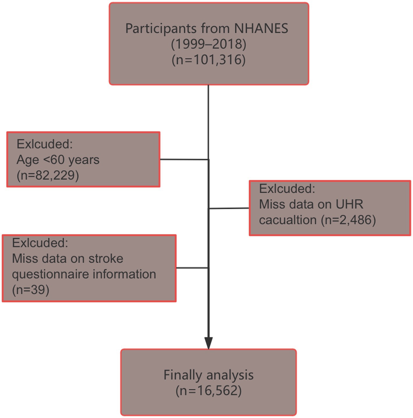 Flowchart depicting participant selection from NHANES (1999–2018) with a total of 101,316 participants. Exclusions include age below sixty years (82,229), missing data on UHR calculation (2,486), and missing stroke questionnaire information (39). Final analysis includes 16,562 participants.