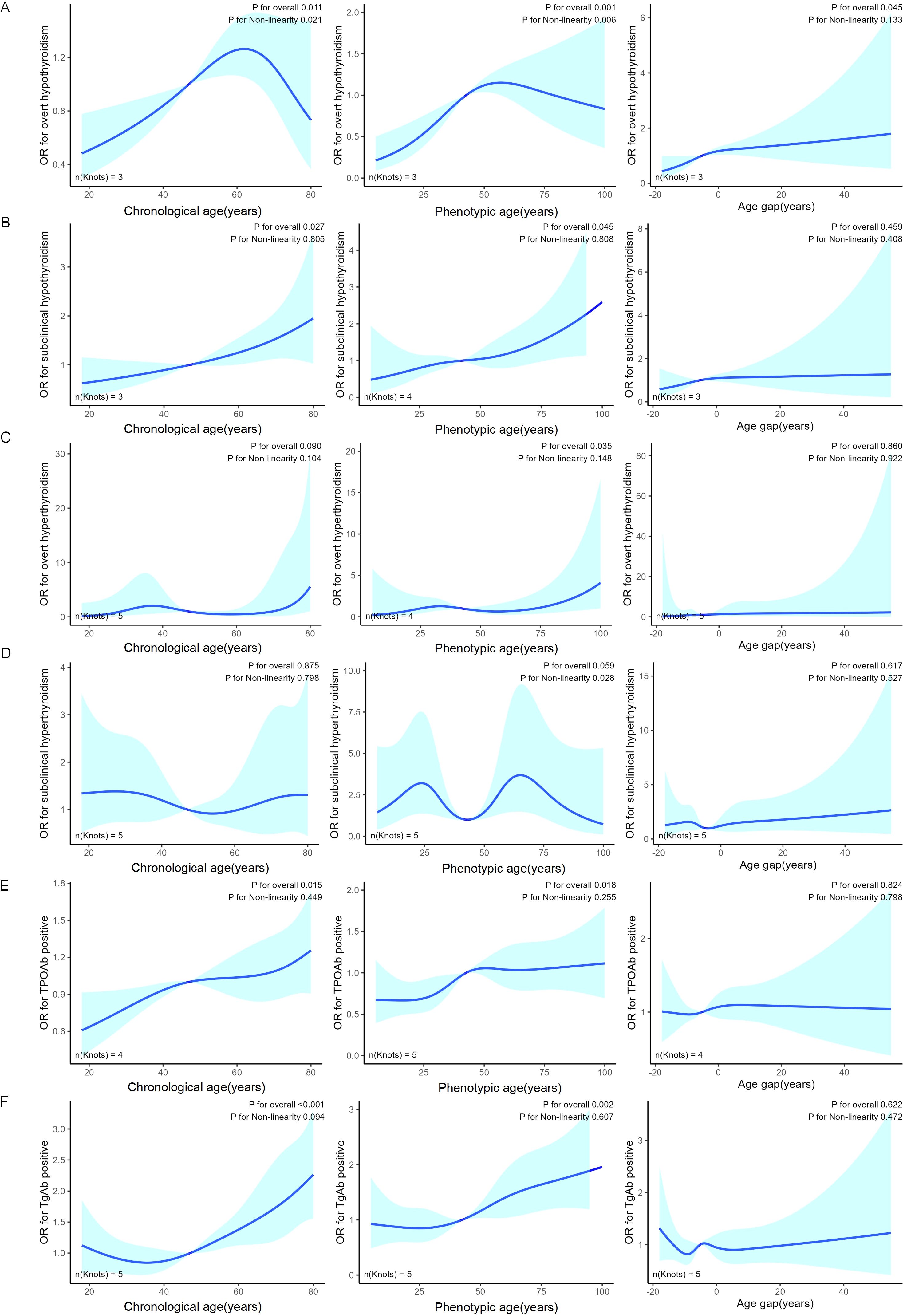 Six panels labeled A to F depict graphs showing odds ratios (OR) for overt and subclinical hypothyroidism and TPO antibody positivity, related to chronological age, phenotypic age, and age gap years. Blue lines represent trends with light blue shading for confidence intervals, and P-values indicate overall significance and non-linearity. Different knot numbers are indicated for each graph, showing the relationship patterns across varying age measures.