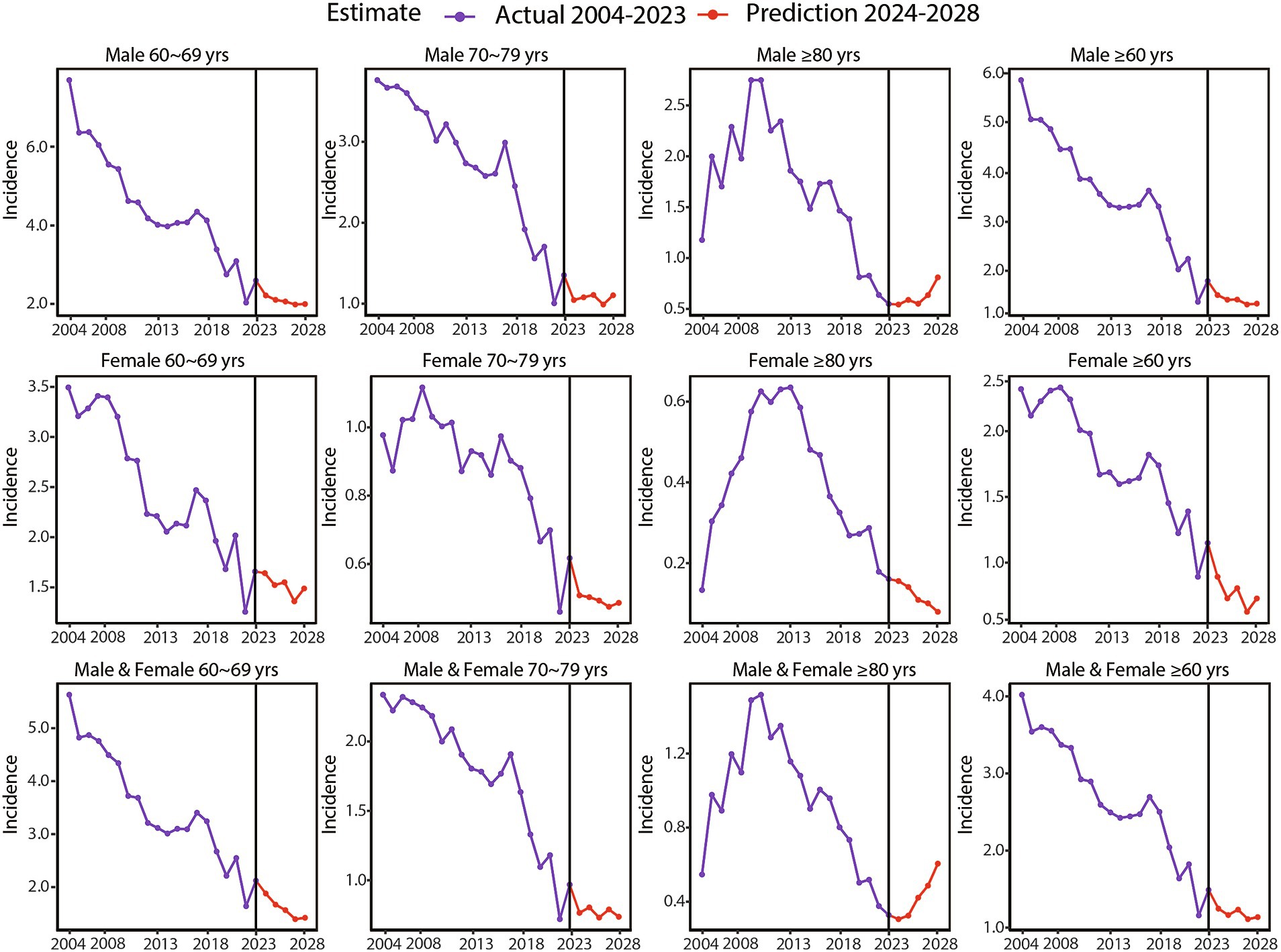 Twelve line graphs display estimated and predicted incidence rates from 2004 to 2028 for various age and gender groups. Each graph has a violet line representing actual data from 2004 to 2023 and a red line indicating predictions for 2024 to 2028. Categories include males, females, and combined groups aged 60 to over 80 years, showing a general decline in incidence with a slight predicted increase post-2023.