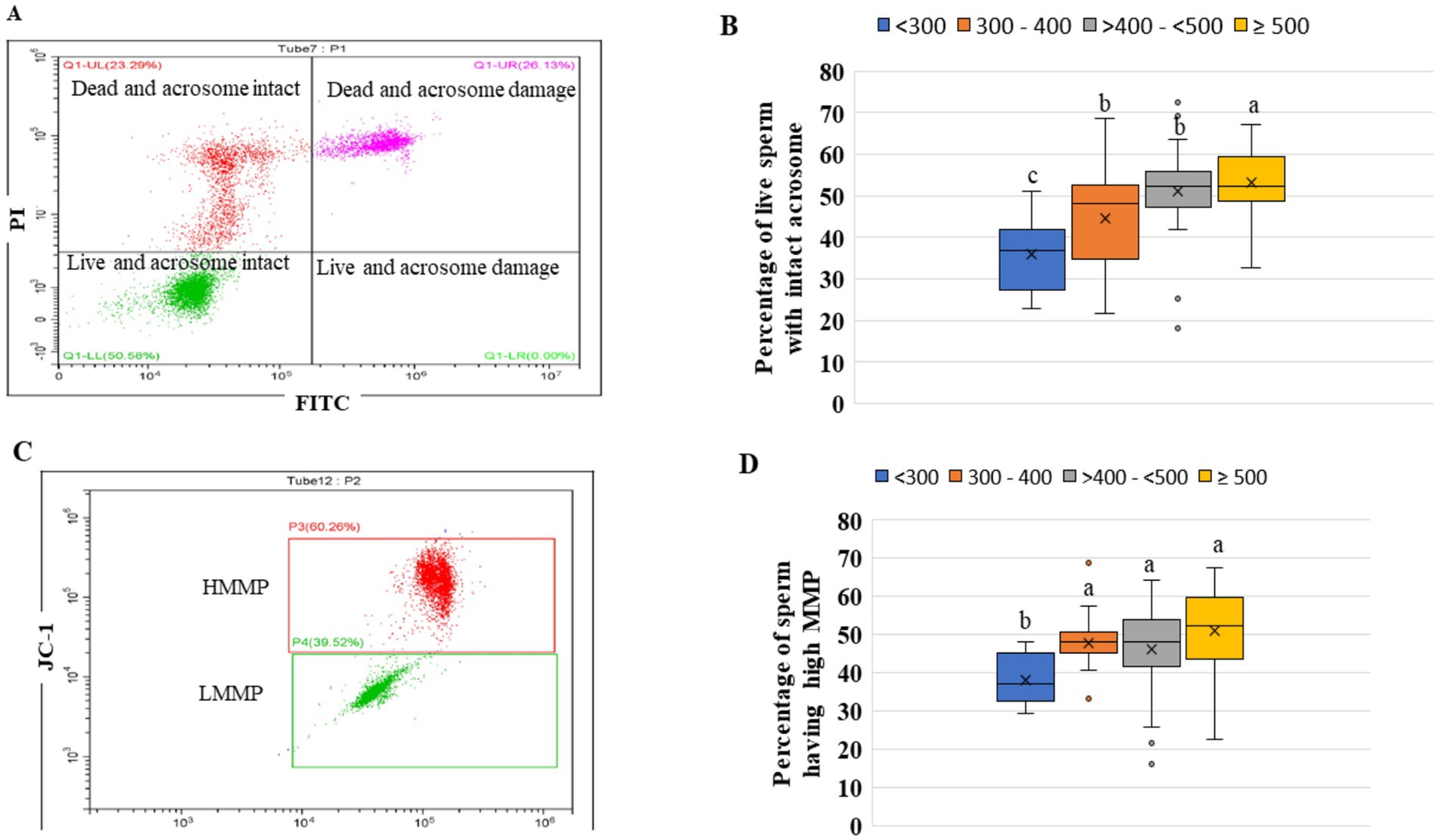 Four-panel figure showing flow cytometry results and box plots. Panel A: Scatter plot categorizing sperm based on acrosome status and viability, with quadrants labeled for live and dead sperm. Panel B: Box plot depicting the percentage of live sperm with intact acrosomes across five treatment groups, color-coded and annotated with letters for statistical significance. Panel C: Scatter plot showing sperm mitochondrial membrane potential, with sections labeled for high and low potential. Panel D: Box plot of sperm with high mitochondrial membrane potential for the same five treatments, with color-coding and statistical annotations.