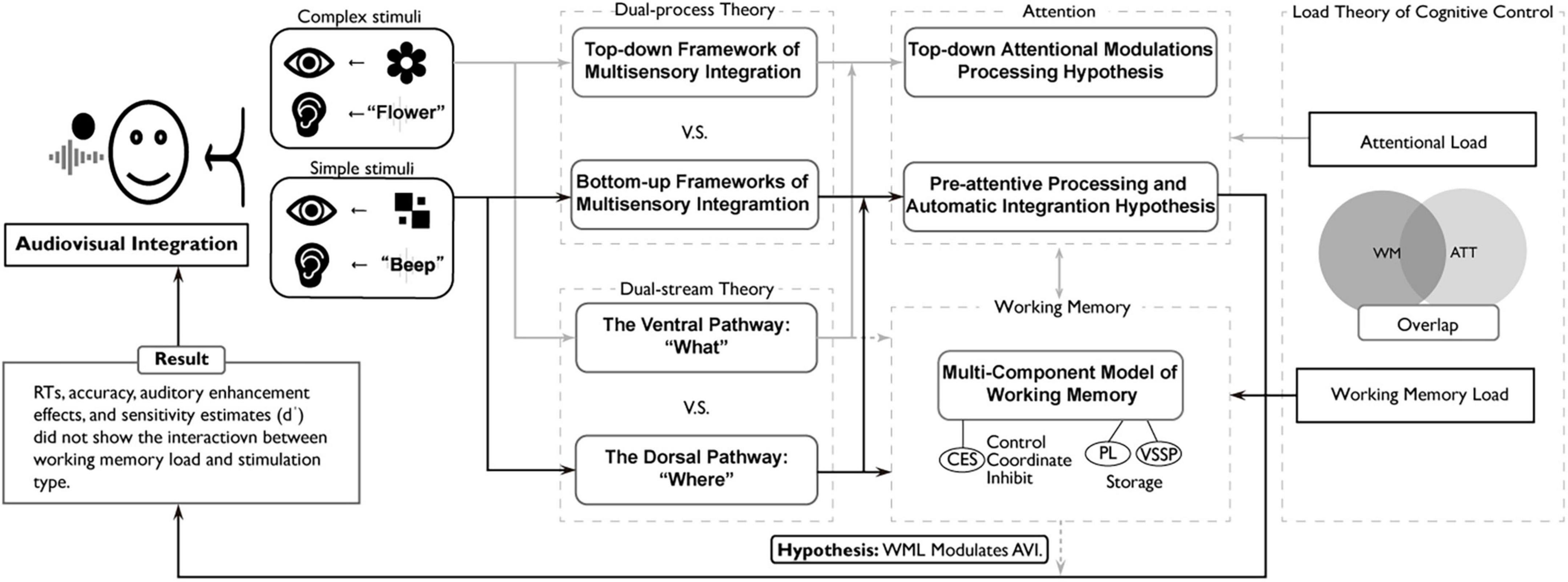 Diagram of audiovisual integration theories and hypotheses. It shows complex and simple stimuli contributing to dual-process and dual-stream theories, attention, and working memory components. Boxes detail models like top-down vs. bottom-up frameworks and ventral vs. dorsal pathways, hypothesizing working memory load’s modulation of audiovisual integration. The load theory of cognitive control is depicted, showing attentional load and overlap with working memory load. Results indicate no interaction between working memory load and stimulation type on reaction times, accuracy, or auditory enhancement.