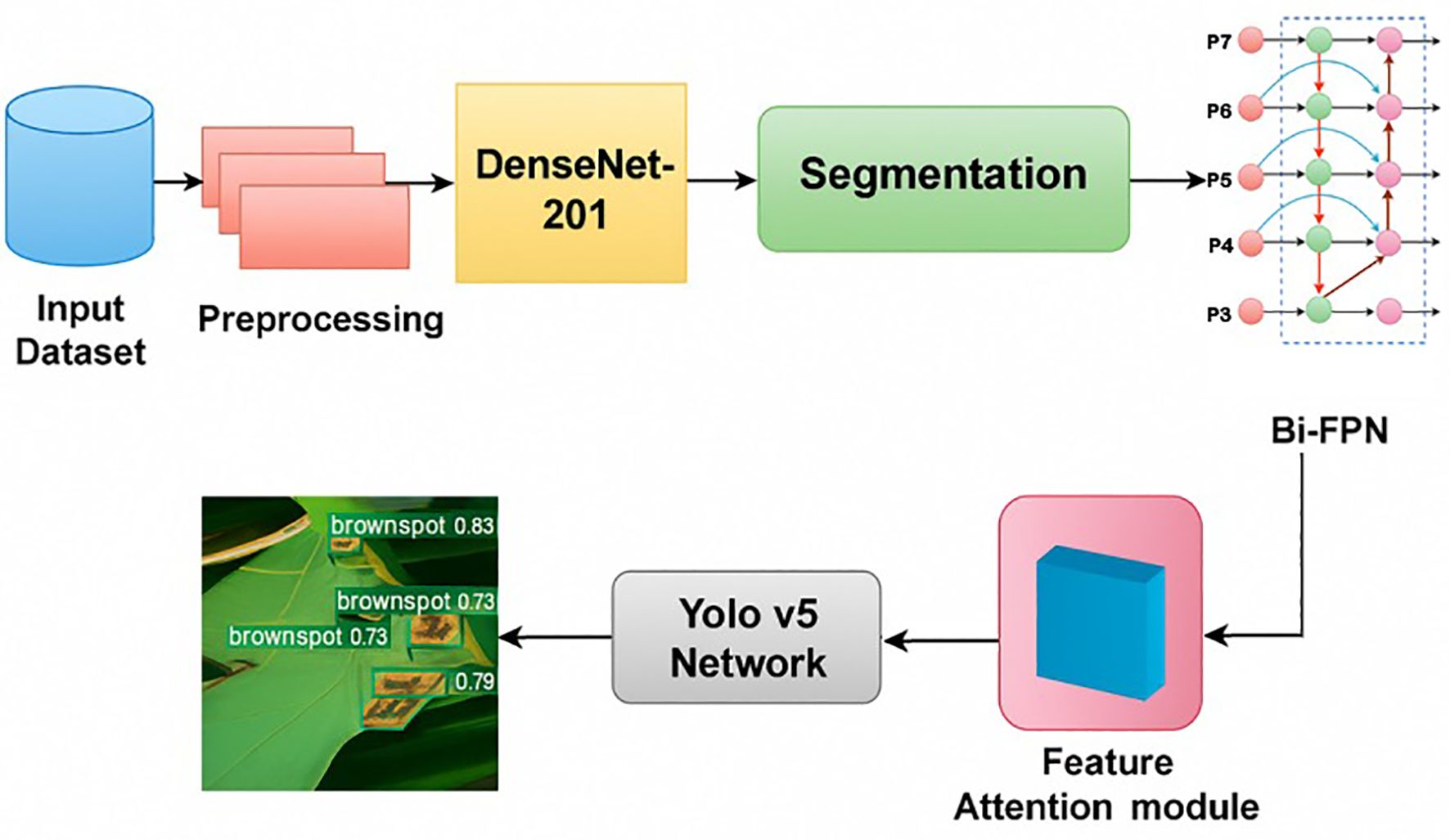 Flowchart depicting a machine learning process for image processing. It starts with an input dataset leading to preprocessing, DenseNet-201 for segmentation, and then Bi-FPN. Simultaneously, a feature attention module connects to the Yolo v5 Network, displaying an annotated image.