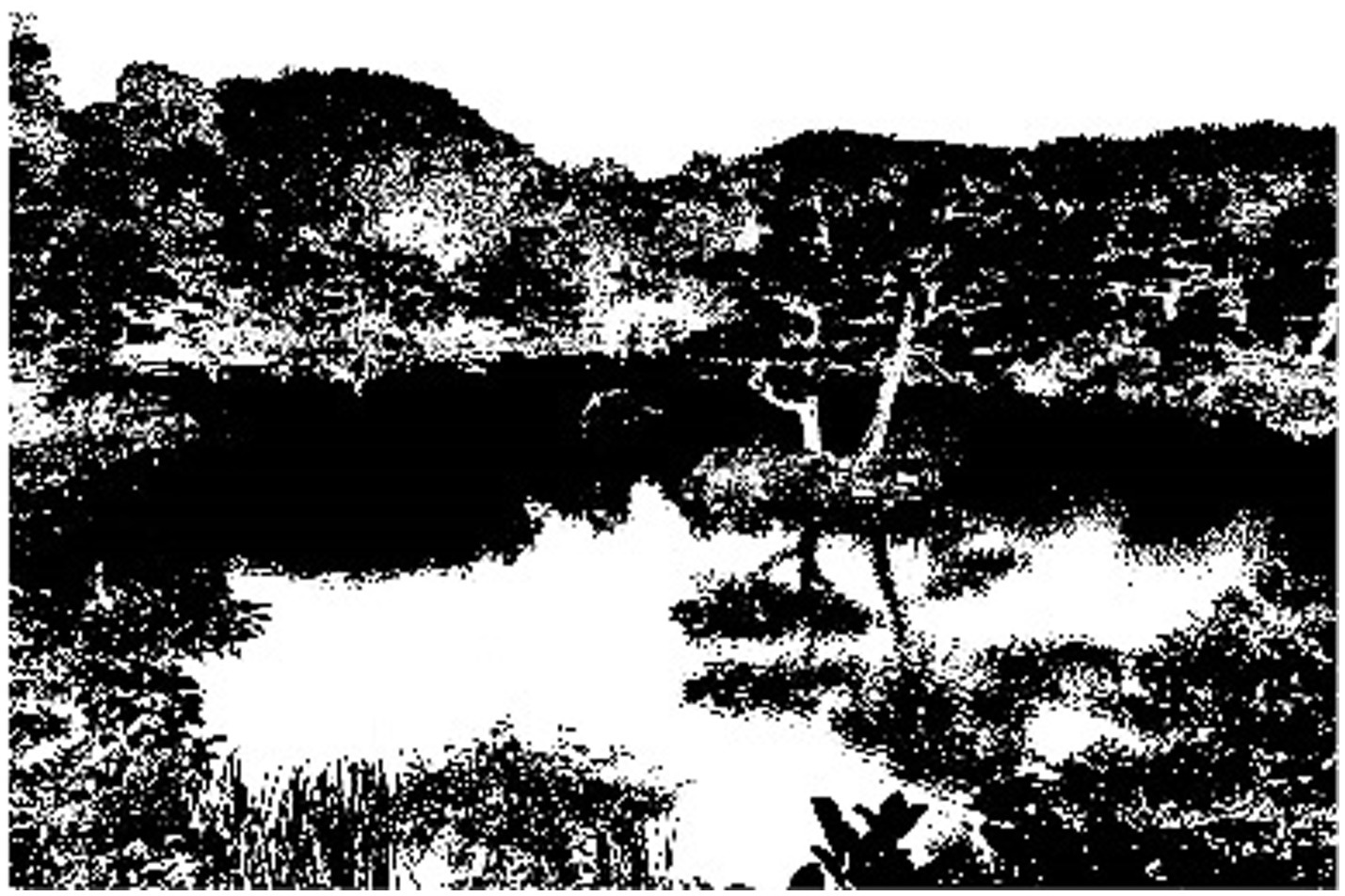 Silhouette of a tranquil landscape with trees and hills reflecting over a still body of water. The scene is in high contrast, with prominent dark areas and bright reflections.