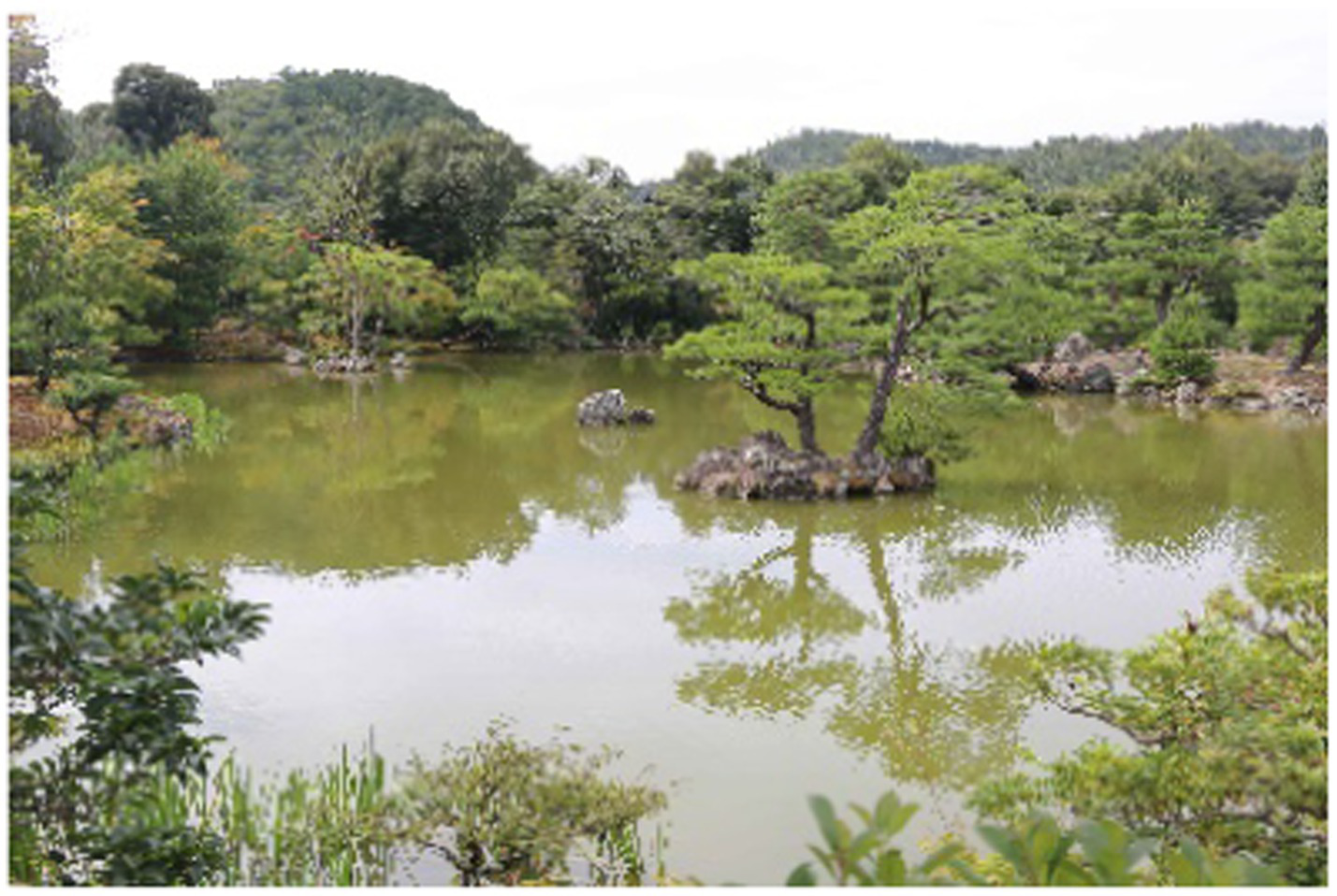 Serene pond landscape with a small rocky island and tree in the foreground. Surrounded by lush greenery and trees, reflected on the water's surface. Mountains are visible in the background.
