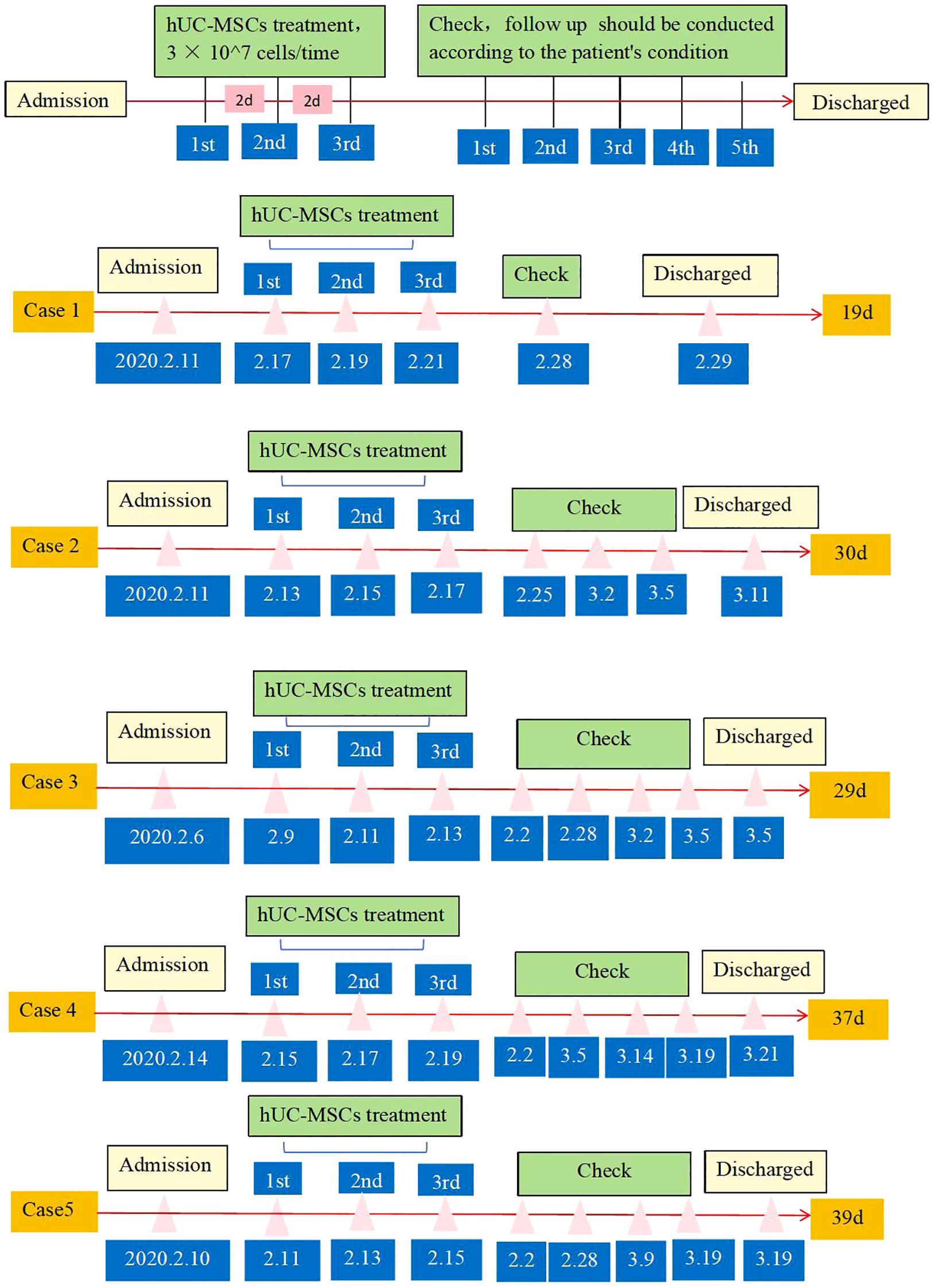 Flowchart showing treatment timelines for five cases of hUC-MSCs treatment. Each case includes dates for admission, three treatment sessions, check-ups, and discharge. The durations vary by case, labeled as 19, 30, 29, 37, and 39 days. Treatment dosage is 3 x 10^7 cells per session.