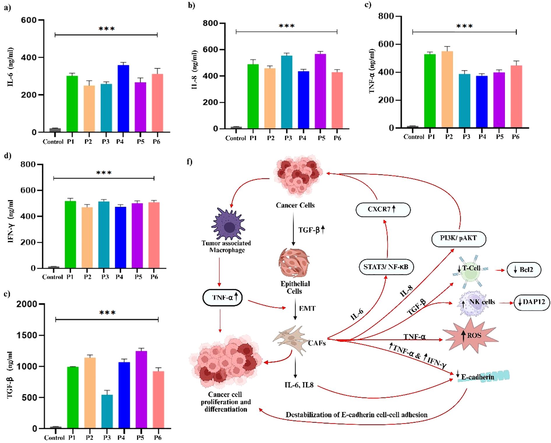 Bar graphs labeled a) to e) show levels of cytokines IL-6, IL-8, TNF-α, IFN-γ, and TGF-β in ng/ml across control and six test groups, with significance indicated by asterisks. f) illustrates a pathway diagram involving cancer cells, tumor-associated macrophages, and epithelial cells, showing interactions via cytokines like TNF-α, IL-6, and TGF-β. The diagram depicts effects on cell proliferation, immune response, and E-cadherin destabilization. Red arrows highlight relationships and pathways involving CXCR7, STAT3, and PI3K/pAKT.