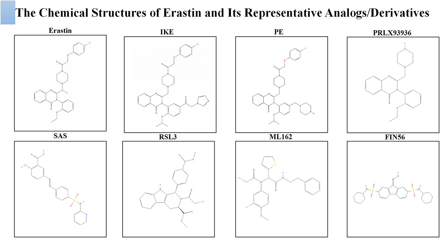 Chemical structures of Erastin and its analogs: Erastin, IKE, PE, PRLX93936, SAS, RSL3, ML162, and FIN56, displayed in individual panels. Each compound's molecular structure is shown with atom and bond arrangements.