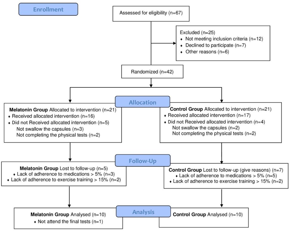 Flowchart showing the progress of participants through phases of a study. Sixty-seven were assessed for eligibility; twenty-five were excluded. Forty-two were randomized into two groups: Melatonin (n=21) and Control (n=21). In the Melatonin group, sixteen received the intervention; five did not due to inability to swallow capsules or incomplete tests. Five were lost to follow-up due to medication and exercise nonadherence. Ten were analyzed with one missing final tests. In the Control group, seventeen received the intervention; four did not due to similar issues. Seven were lost to follow-up, and ten were analyzed.