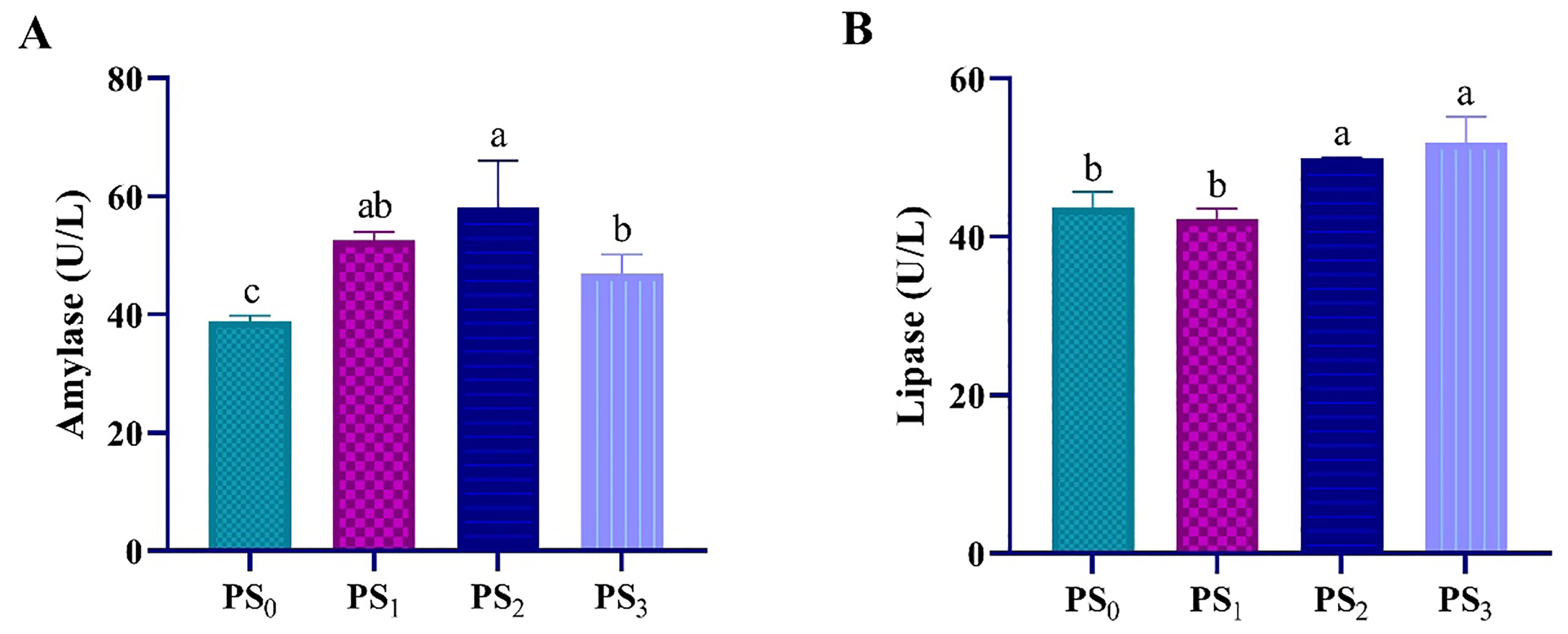 Two bar charts labeled A and B. Chart A shows amylase levels (U/L) for groups PS₀, PS₁, PS₂, and PS₃, with values approximately 40, 58, 65, and 52 respectively. Chart B shows lipase levels (U/L) for the same groups, with values around 44, 46, 54, and 53 respectively. Error bars and statistical annotations (a, b, ab, c) are present on both charts.
