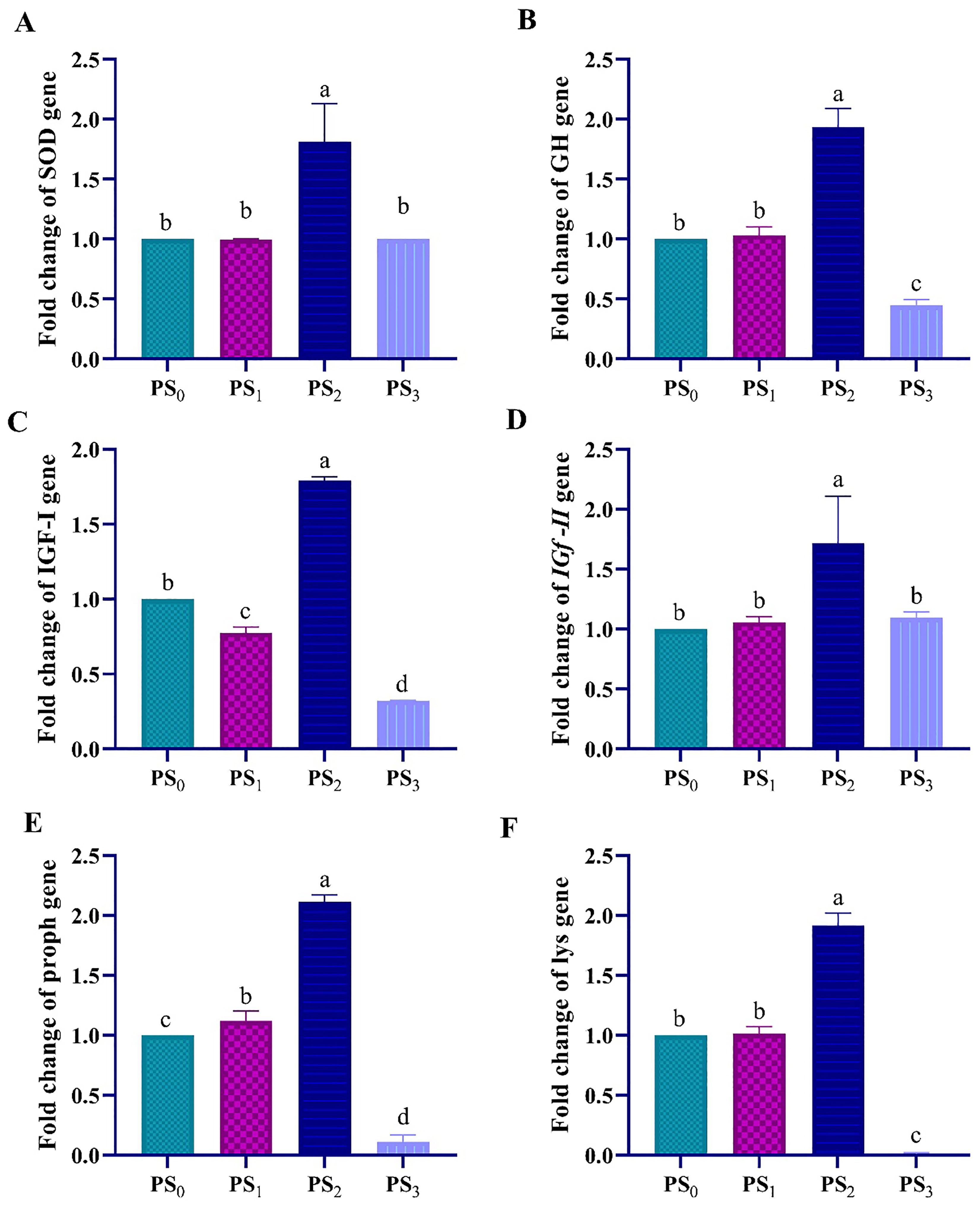 Bar charts labeled A to F display the fold change of different genes across four groups: PS₀, PS₁, PS₂, PS₃. Each chart represents a specific gene: SOD, GH, IGF-I, IGF-I-I, proph, and lys, respectively. In all charts, PS₂ shows the highest fold change, while PS₃ shows the lowest. Significance is indicated by different letters above the bars.