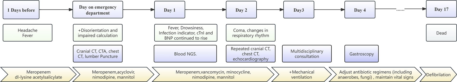 Timeline of a medical case detailing symptoms, diagnoses, and treatments over 17 days. Day 1 shows headache and fever; Day 2 adds disorientation and impaired calculation. By Day 3, symptoms include coma, and on Day 17, death. Treatments include antibiotics, imaging tests, and mechanical ventilation.