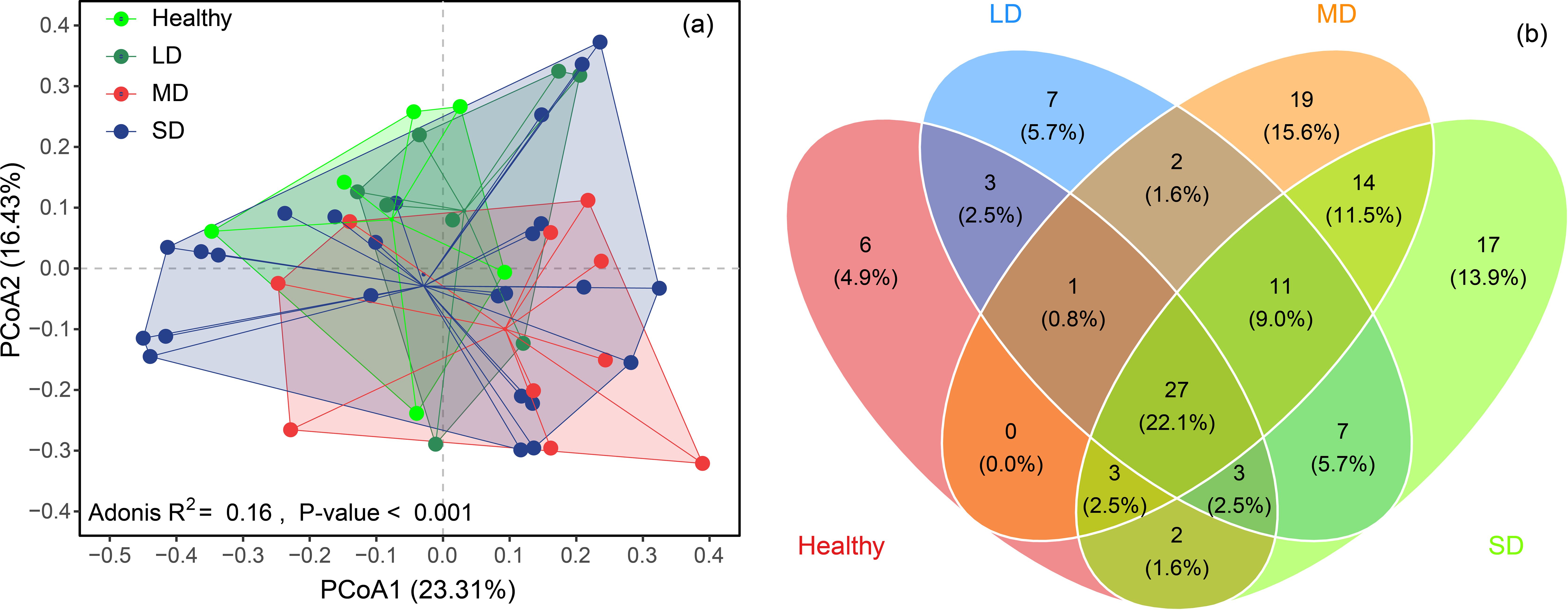Chart (a) is a principal coordinate analysis plot showing sample groupings: Healthy (green), LD (dark green), MD (red), and SD (blue) based on PCoA1 (23.31%) and PCoA2 (16.43%) axes. Statistical data: Adonis R² = 0.16, P-value < 0.001. Chart (b) is a Venn diagram displaying the overlap and distinct elements among groups: Healthy, LD, MD, and SD with percentages indicating the proportion of shared and unique features.