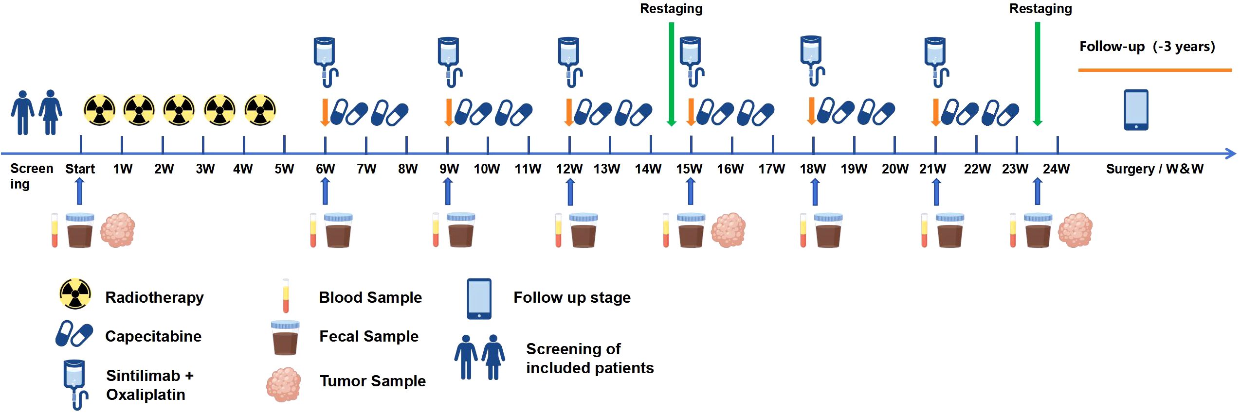 After the patients have been screened and meet the inclusion criteria, they will undergo CRT from 1 to 5. 7 to 10 days after CRT, the patients will receive a 6-cycle CapeOX combined with sintilimab regimen: sintilimab and oxaliplatin intravenously on the day 1 and capecitabine orally twice daily from day 1 to day 14. Consolidation therapy is administered every 3 weeks. The efficacy assessment is conducted every 3 cycles. There is continuous follow-up for up to 3 years after the potential surgery or watch-and-wait approach. Samples of blood, feces, and tumors are collected periodically.