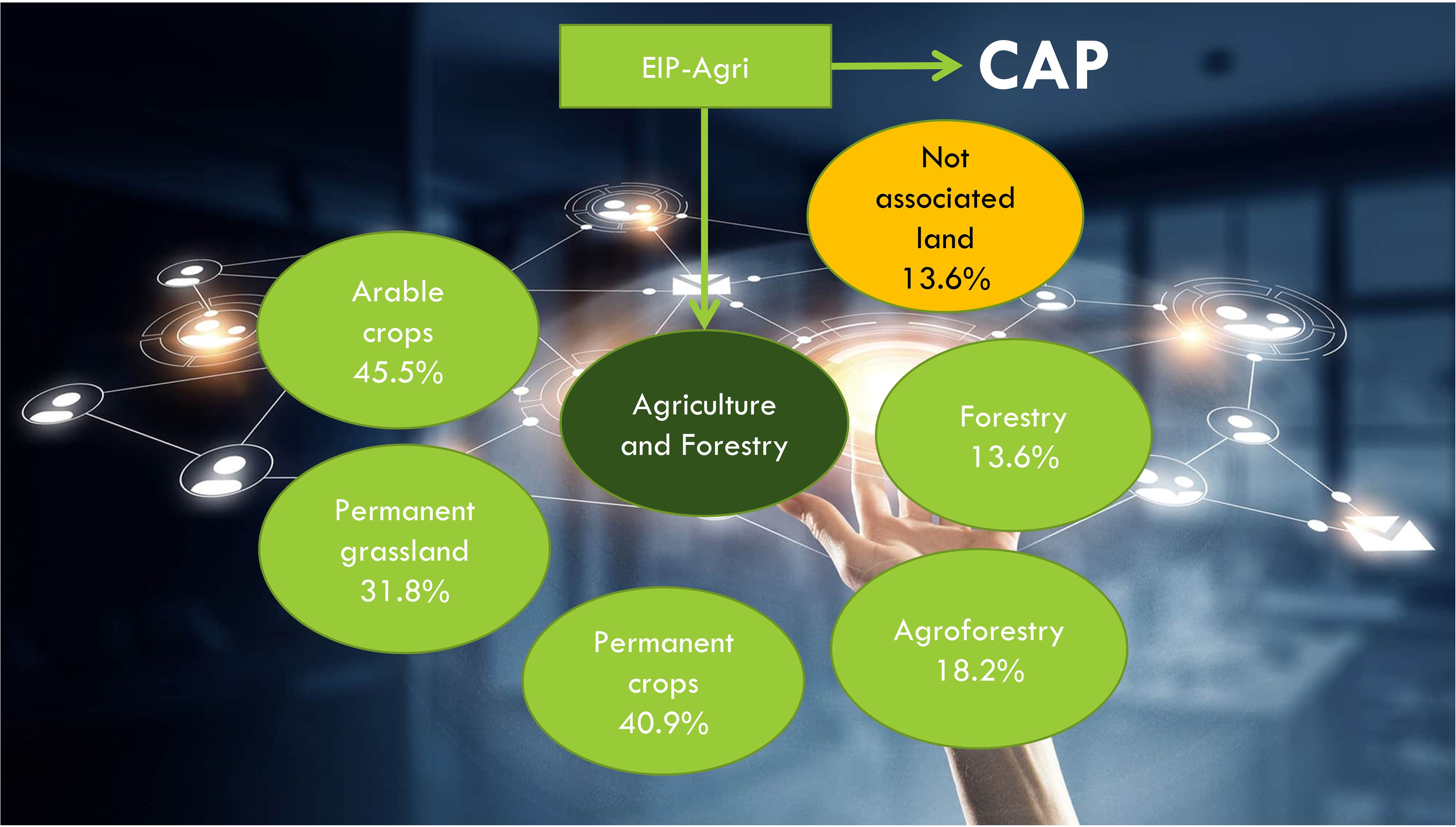 Flowchart illustrating the relationship between EIP-Agri and CAP, focusing on agriculture and forestry. It includes categories: arable crops 45.5%, permanent grasslands 31.8%, permanent crops 40.9%, agroforestry 18.2%, forestry 13.6%, and not associated land 13.6%.