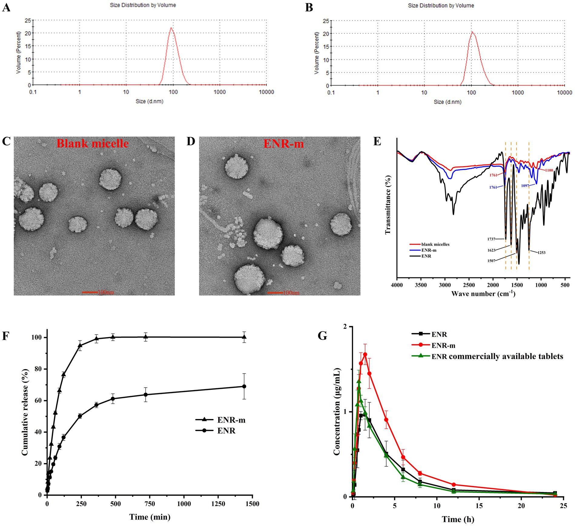 A series of scientific images. (A) and (B) show graphs of size distribution by volume with a peak around 100 nanometers. (C) and (D) are electron microscope images of blank micelles and ENR-m, respectively, displaying clusters of spherical particles. (E) presents an FTIR spectrum with distinct transmittance peaks for blank micelles, ENR, and ENR-m. (F) is a graph of cumulative release percentage over time for ENR-m and ENR, showing higher release for ENR-m. (G) shows concentration vs. time for ENR, ENR-m, and ENR tablets, with ENR-m exhibiting the highest peak concentration early on.