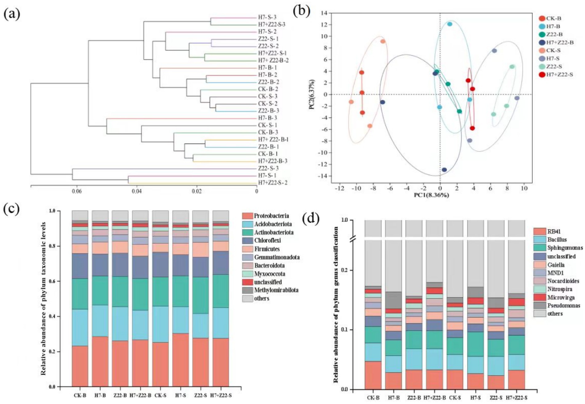The image consists of four panels, labeled (a) to (d). Panel (a) is a hierarchical clustering dendrogram displaying relationships between different samples. Panel (b) shows a principal component analysis (PCA) plot, revealing clustering of sample groups with PC1 and PC2 axes labeled. Panel (c) presents a bar chart depicting the relative abundance of various phylum taxonomic levels across different samples, with categories such as Proteobacteria and Acidobacteriota. Panel (d) displays another bar chart of relative abundance, focusing on phylum genus classification, showing categories like RB41 and Bacillus.