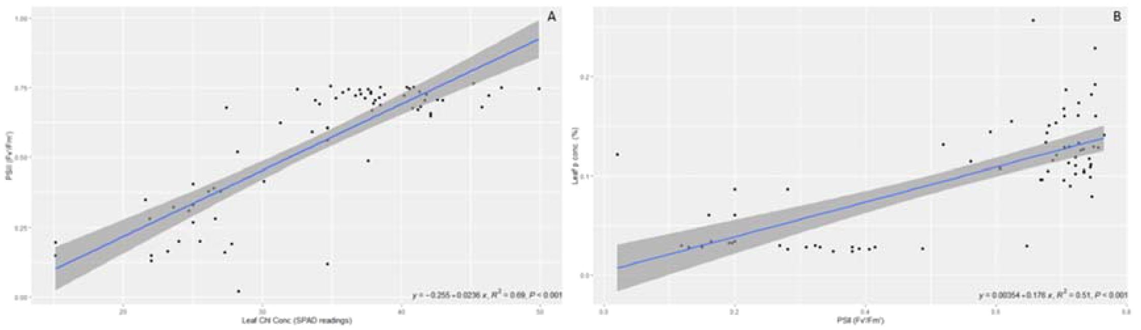 Scatter plot showing the relationship between Leaf Chlorophyll Concentration (SPAD readings) on the x-axis and PSII (Fv/Fm) on the y-axis. A blue trend line is present with a positive slope, indicating a correlation. Surrounding the trend line is a gray confidence interval. The equation y = -0.255 + 0.0236x, R² = 0.69, P < 0.001 is displayed at the bottom right, indicating statistical significance.