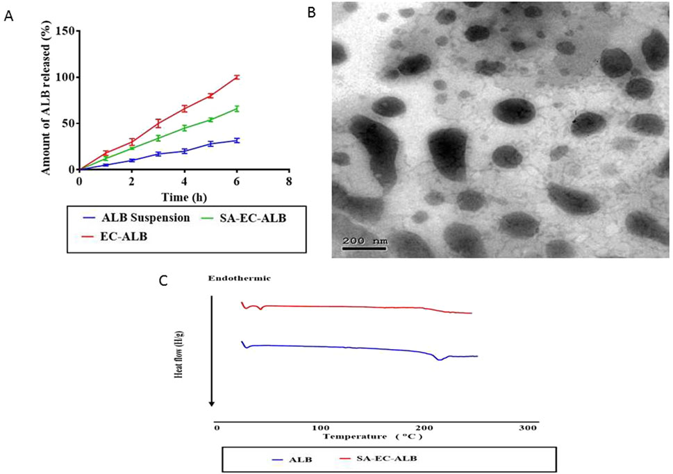 Panel A presents a line graph showing ALB release over time. EC-ALB (red) releases the most, followed by SA-EC-ALB (green), and ALB Suspension (blue). Panel B shows a transmission electron micrograph of nanoparticles with varying sizes and shades. Panel C is a graph of endothermic heat flow versus temperature for ALB (blue) and SA-EC-ALB (red), indicating thermal stability differences.